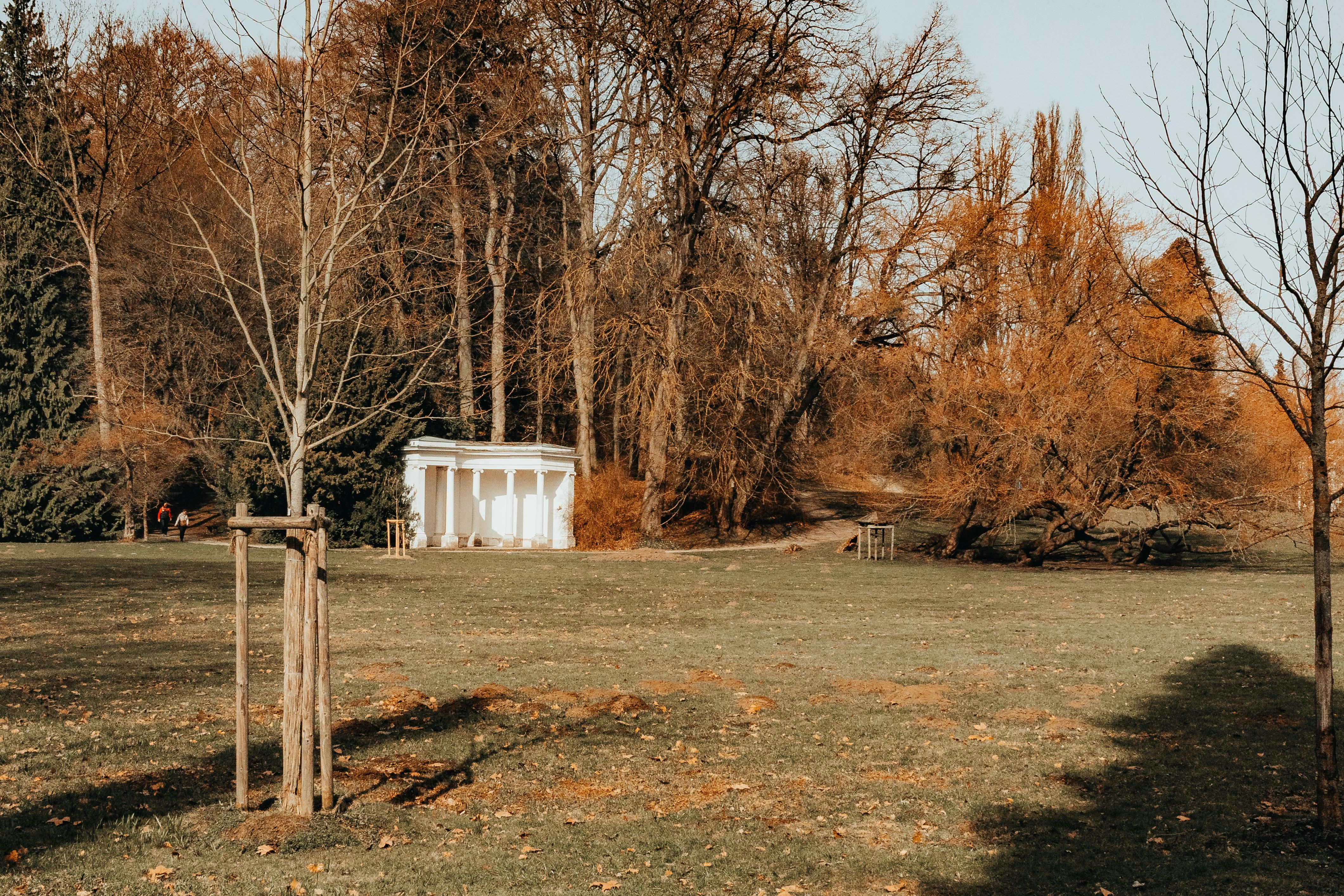 Ücretsiz Almanya'nın Kassel kentindeki tarihi Wilhelmshöhe Parkı'nda sonbahar yapraklarının sergilendiği, huzurlu bir sonbahar manzarası. Stok Fotoğraflar