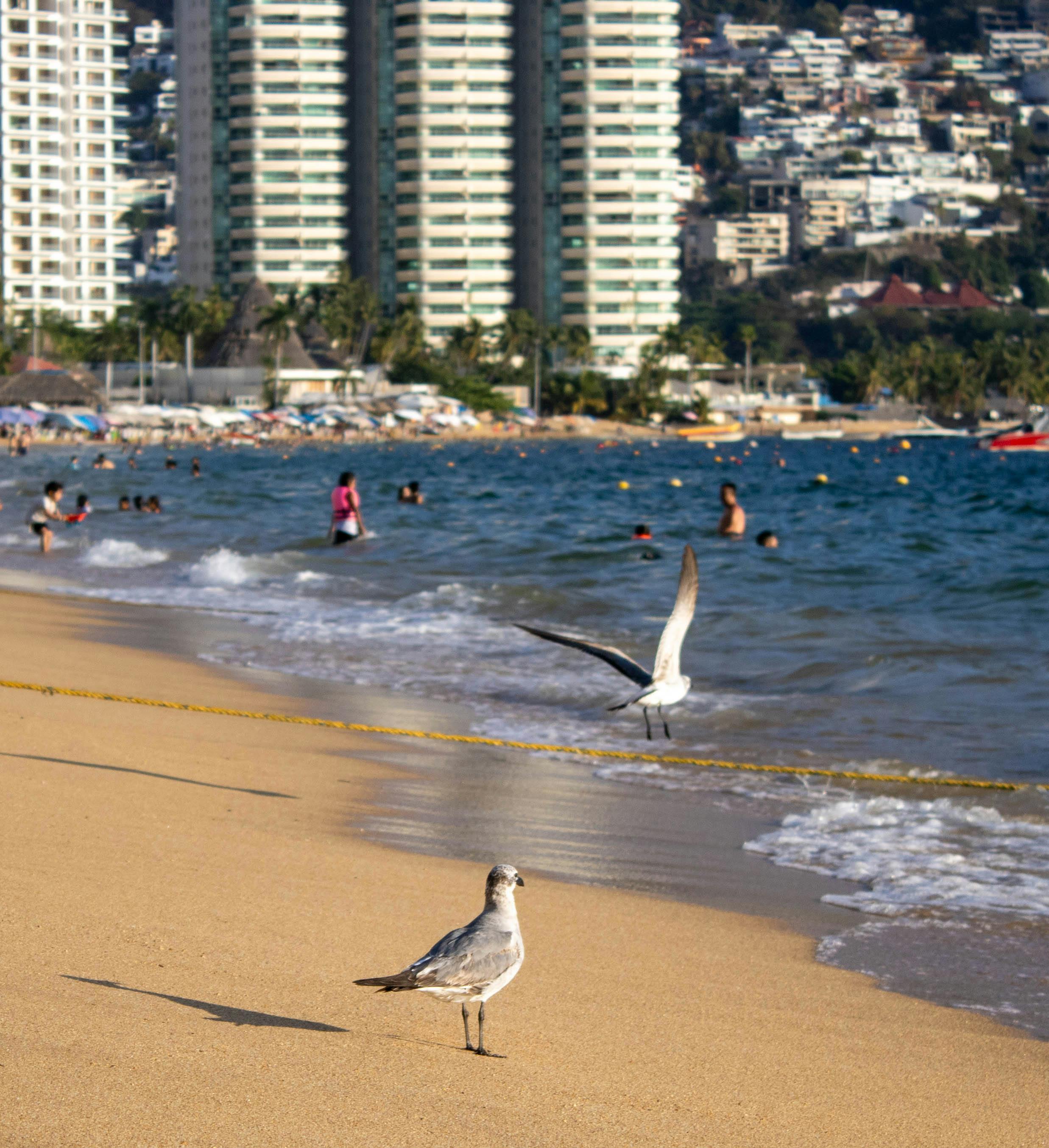 La Vida Real en Acapulco, Guerrero: Un Vistazo Profundo