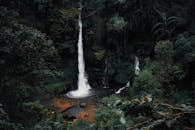 瀑布从茂密、郁郁葱葱的森林中倾泻而下，景色令人惊叹，非常适合自然和旅行爱好者