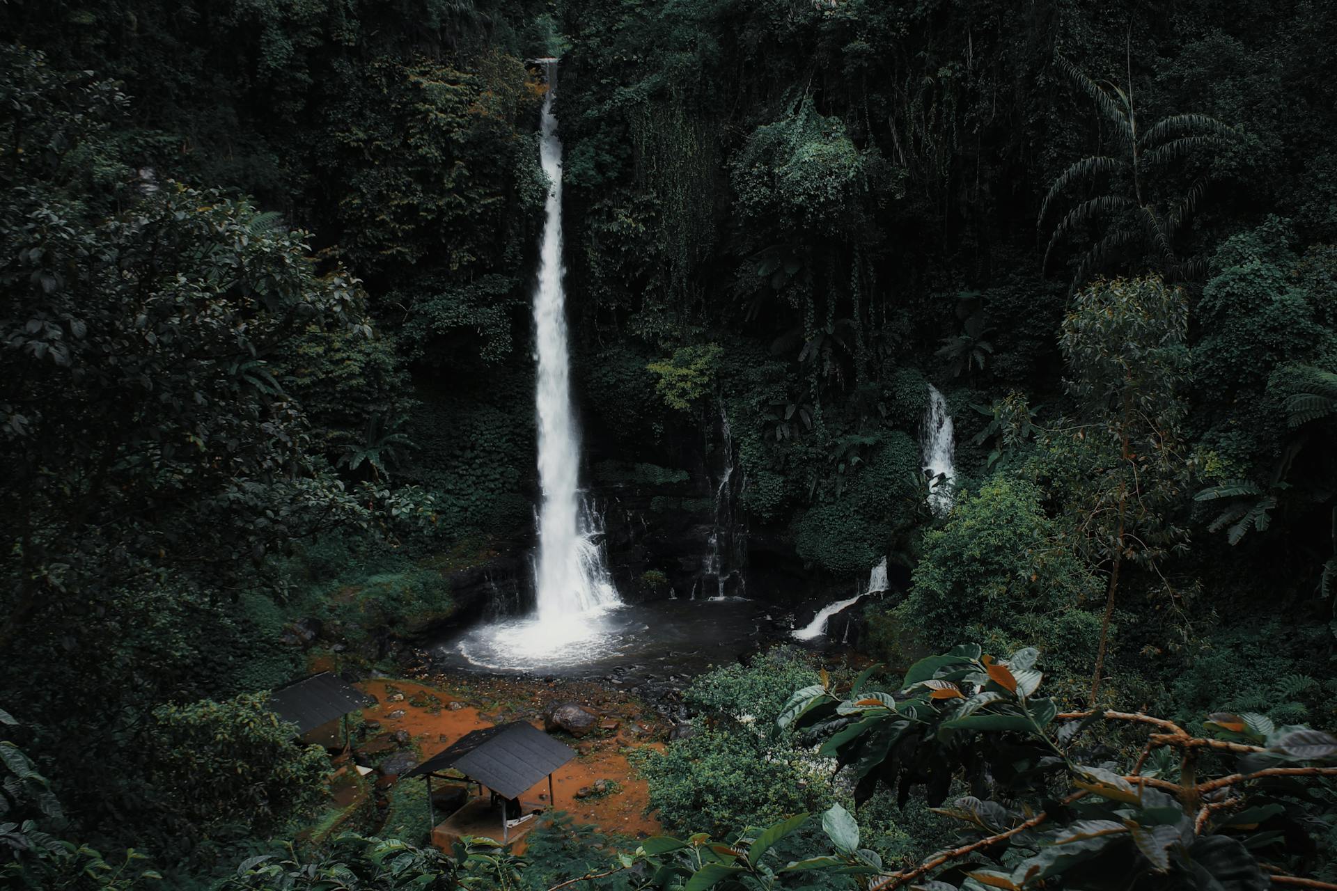 A breathtaking waterfall cascading in a dense, lush forest, perfect for nature and travel enthusiasts.