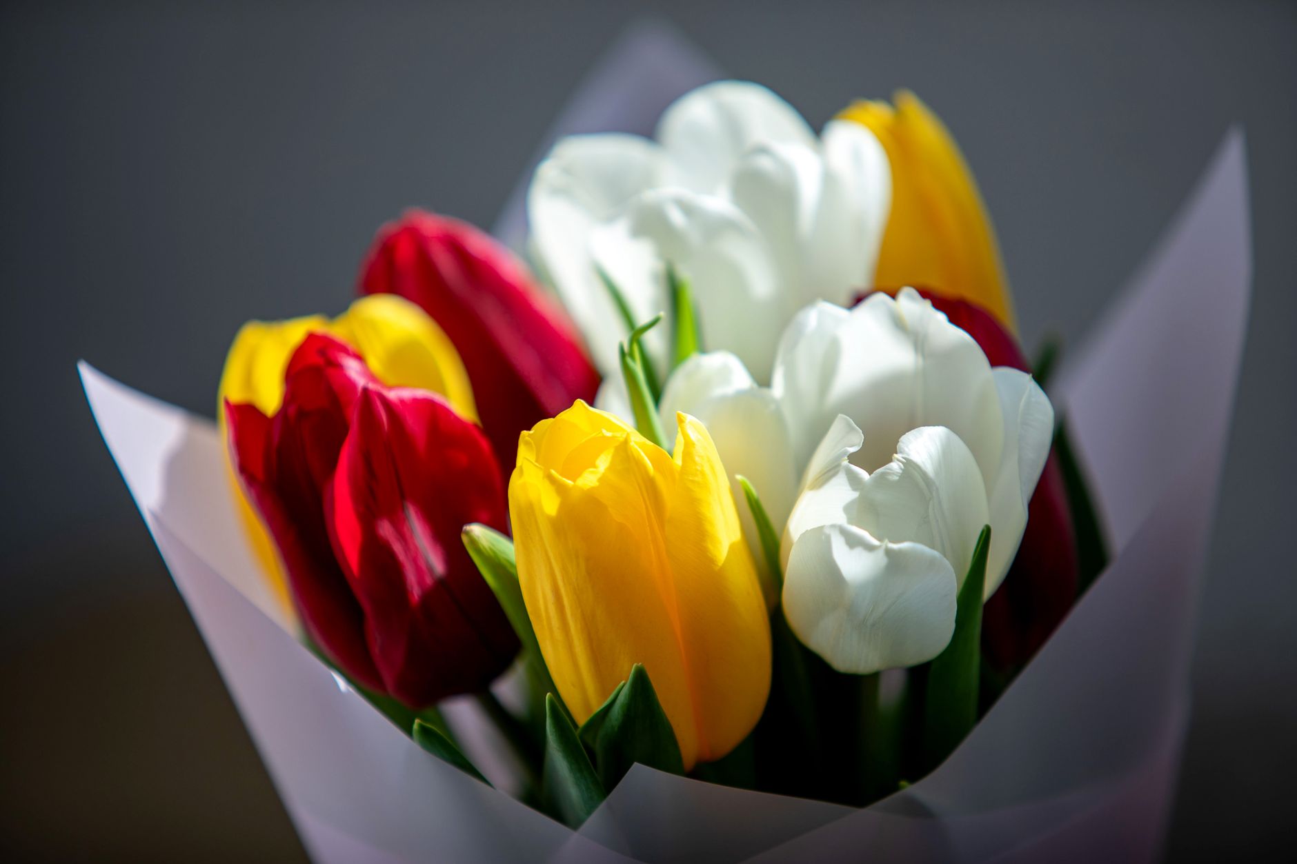A colorful bouquet of red, yellow, and white tulips captured in full bloom.