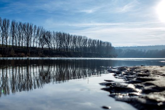 Peaceful river scene with bare trees reflecting on water under a clear winter sky.