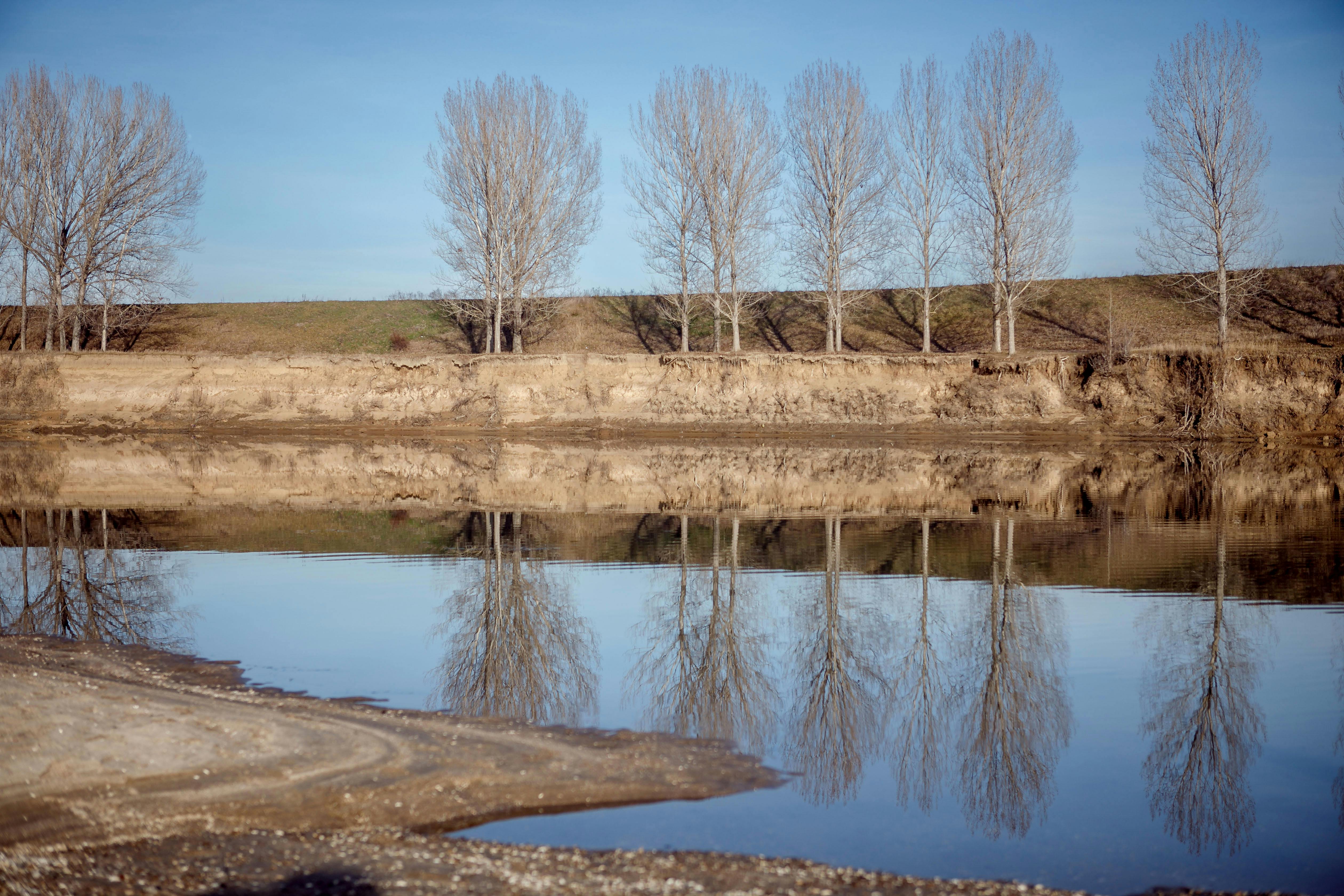 Gratis Fredelig landskap med nakne trær som speiler seg i rolig elvevann under en klar blå himmel. Arkivbilde