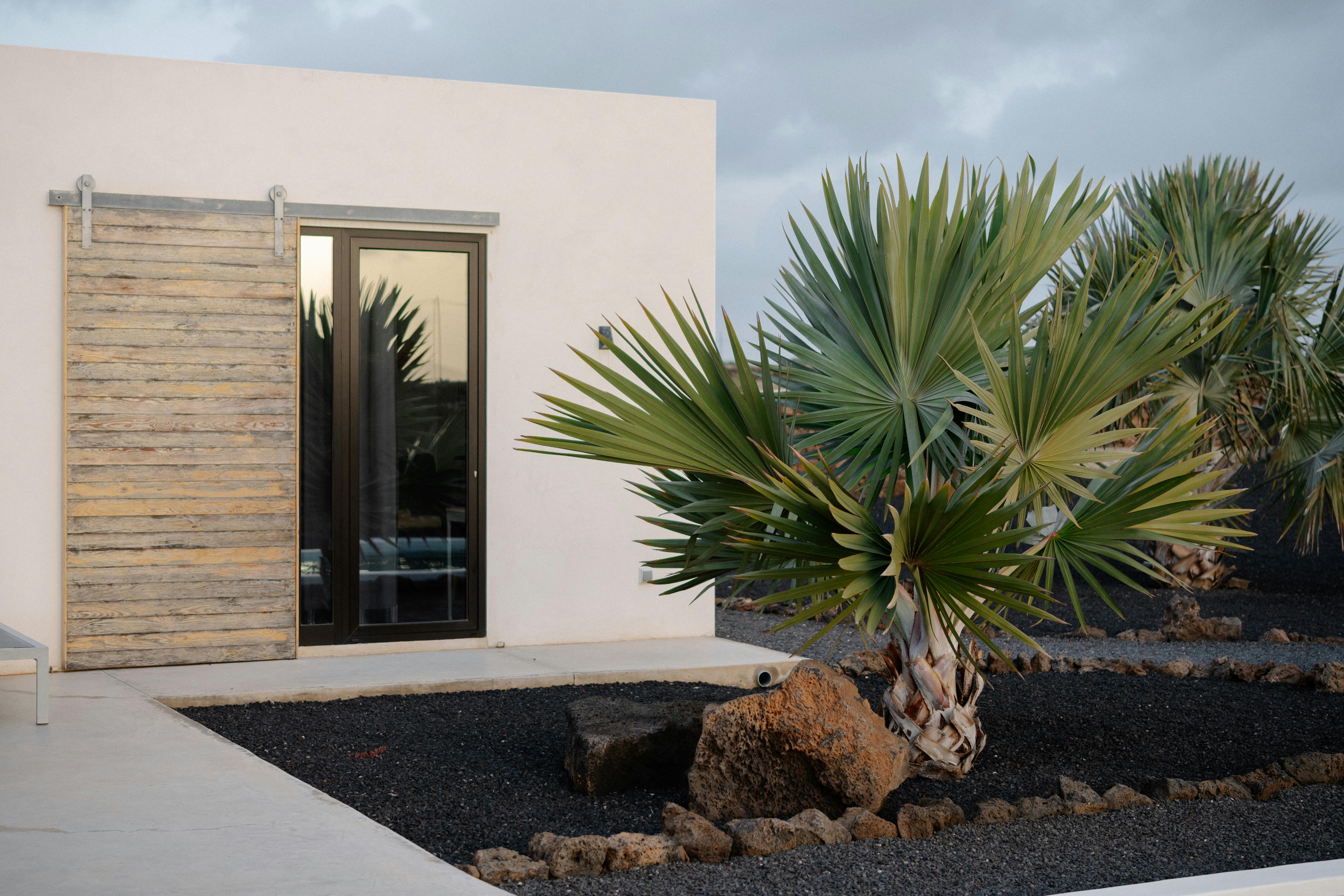 Stylish villa exterior with tropical palm trees in Lanzarote, showcasing modern architecture and lush greenery.