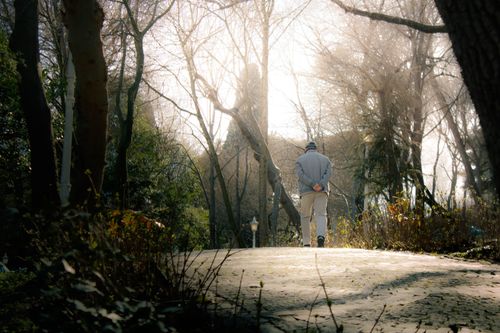 Free A person strolling alone on a sunlit forest path, embracing tranquility and nature. Stock Photo