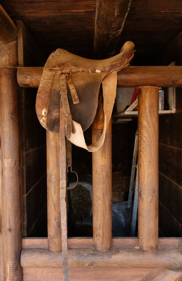 Worn leather saddle on a stable wall, photo by Raymond Petrik on Pexels