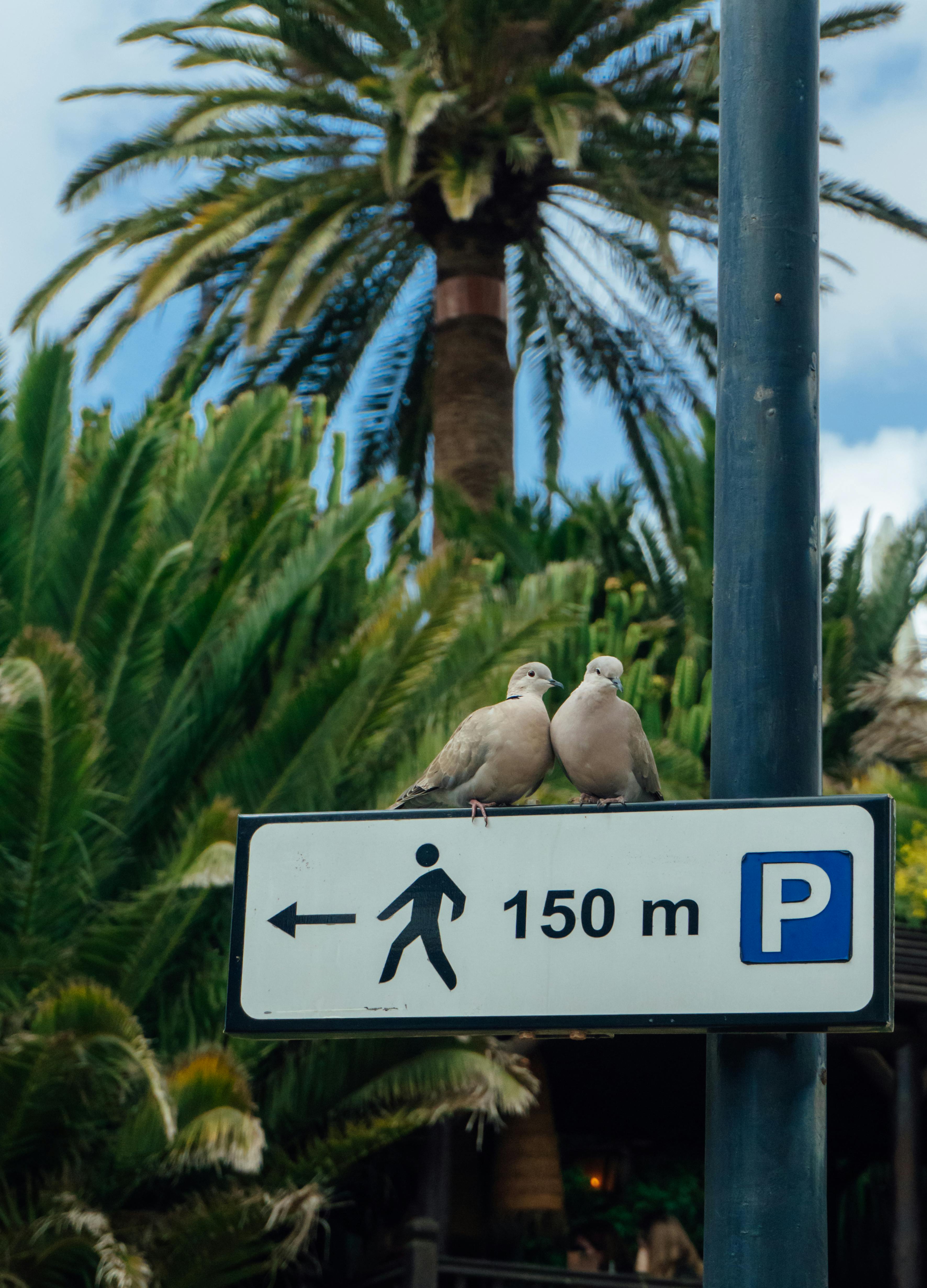 Tarifa error: hotel 4* en Playa del Inglés por 86€