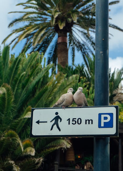 Tarifa error: hotel 4* en Playa del Inglés por 86€