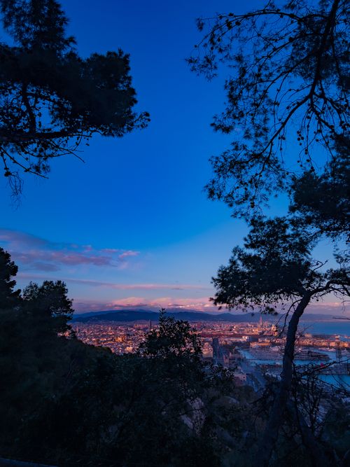 Free View of Barcelona's skyline framed by trees at sunset, showcasing the city's vibrant allure. Stock Photo
