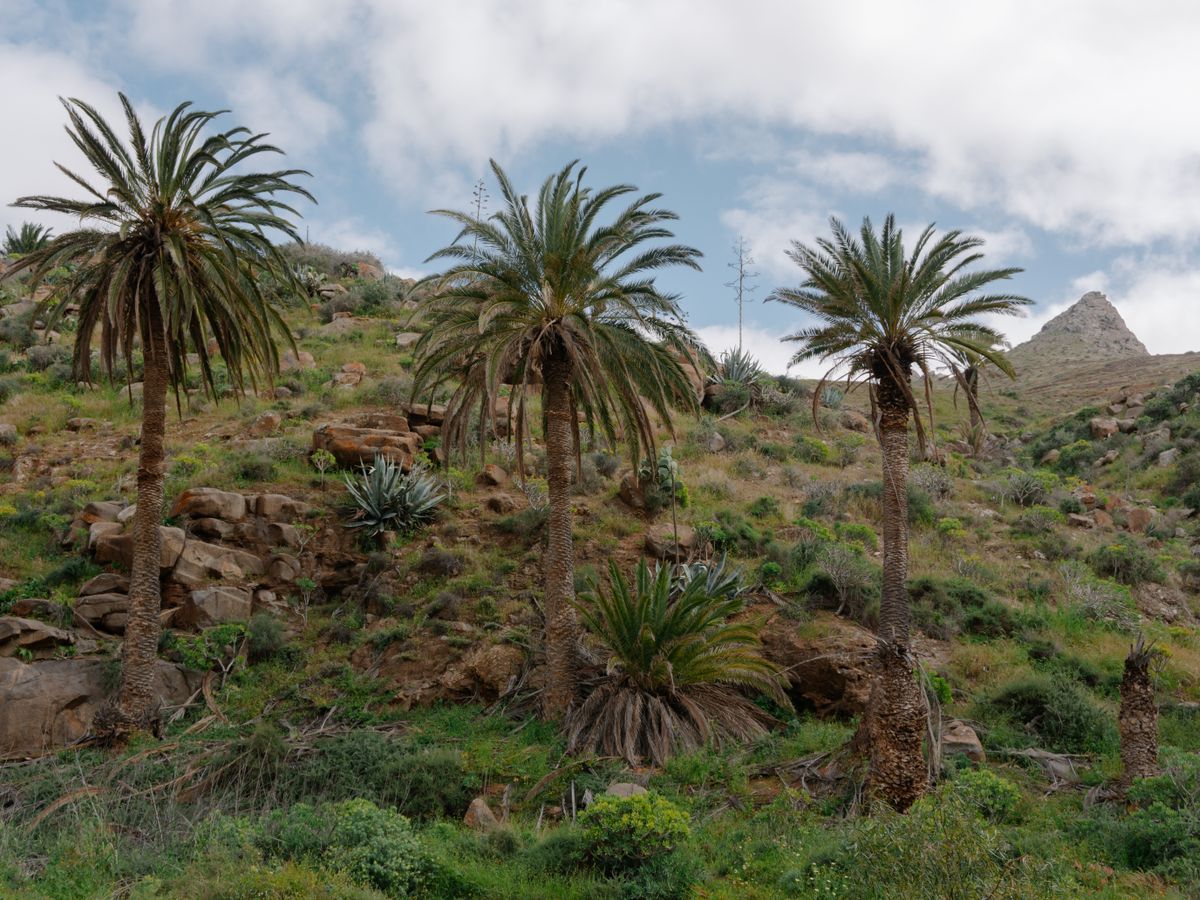 7 Day Destress Wellness Retreat in Morocco 3