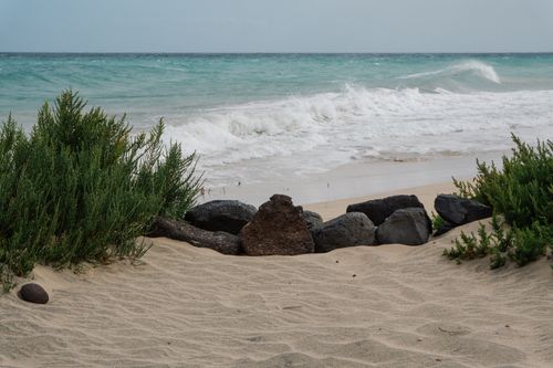 Free Tranquil sandy beach with lush greenery and crashing waves, a perfect escape to nature's serenity. Stock Photo