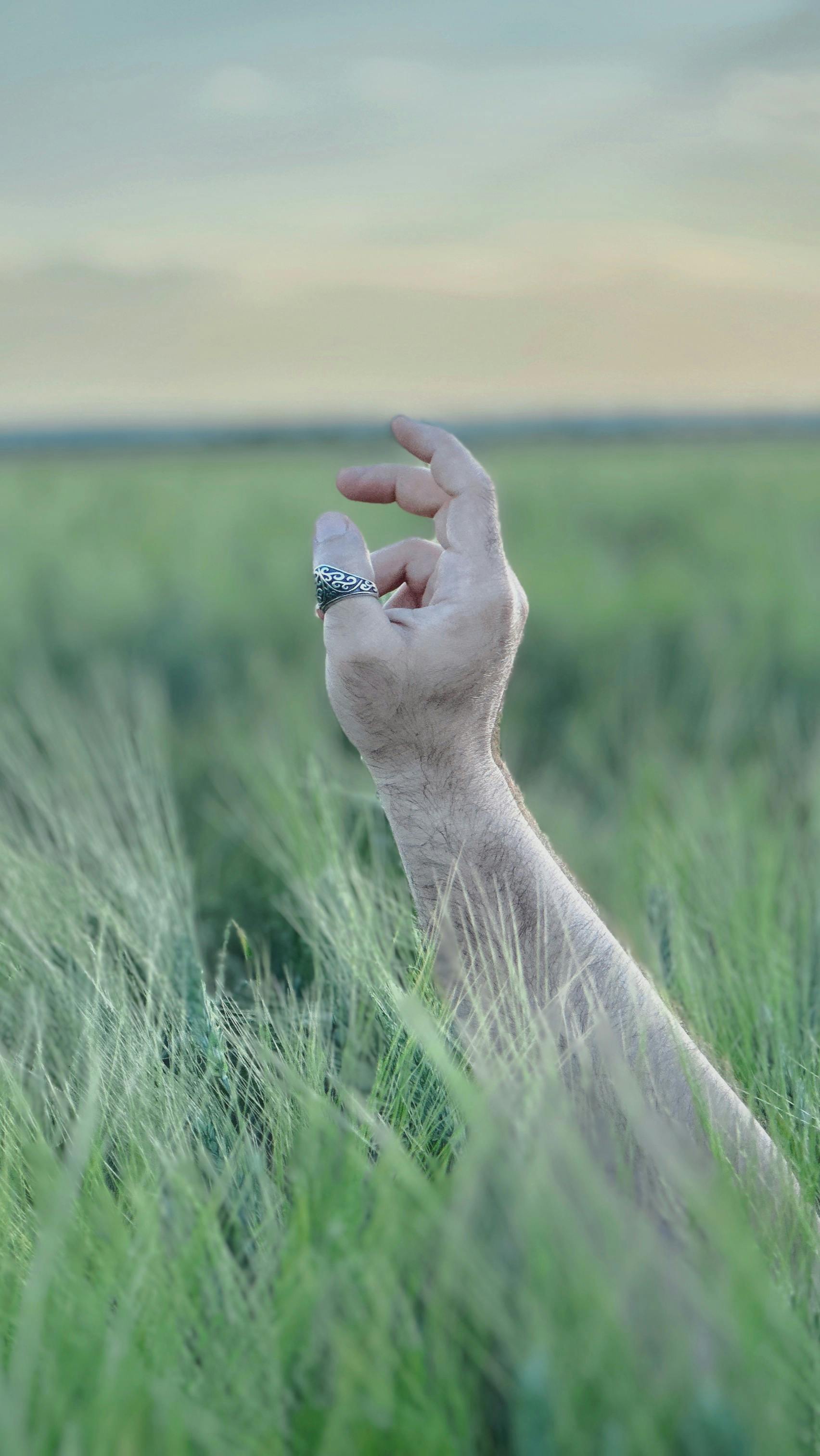 Gratis En hånd utsmykket med ringer stikker opp fra høyt gress på et jorde nær Damaskus i Syria. Arkivbilde