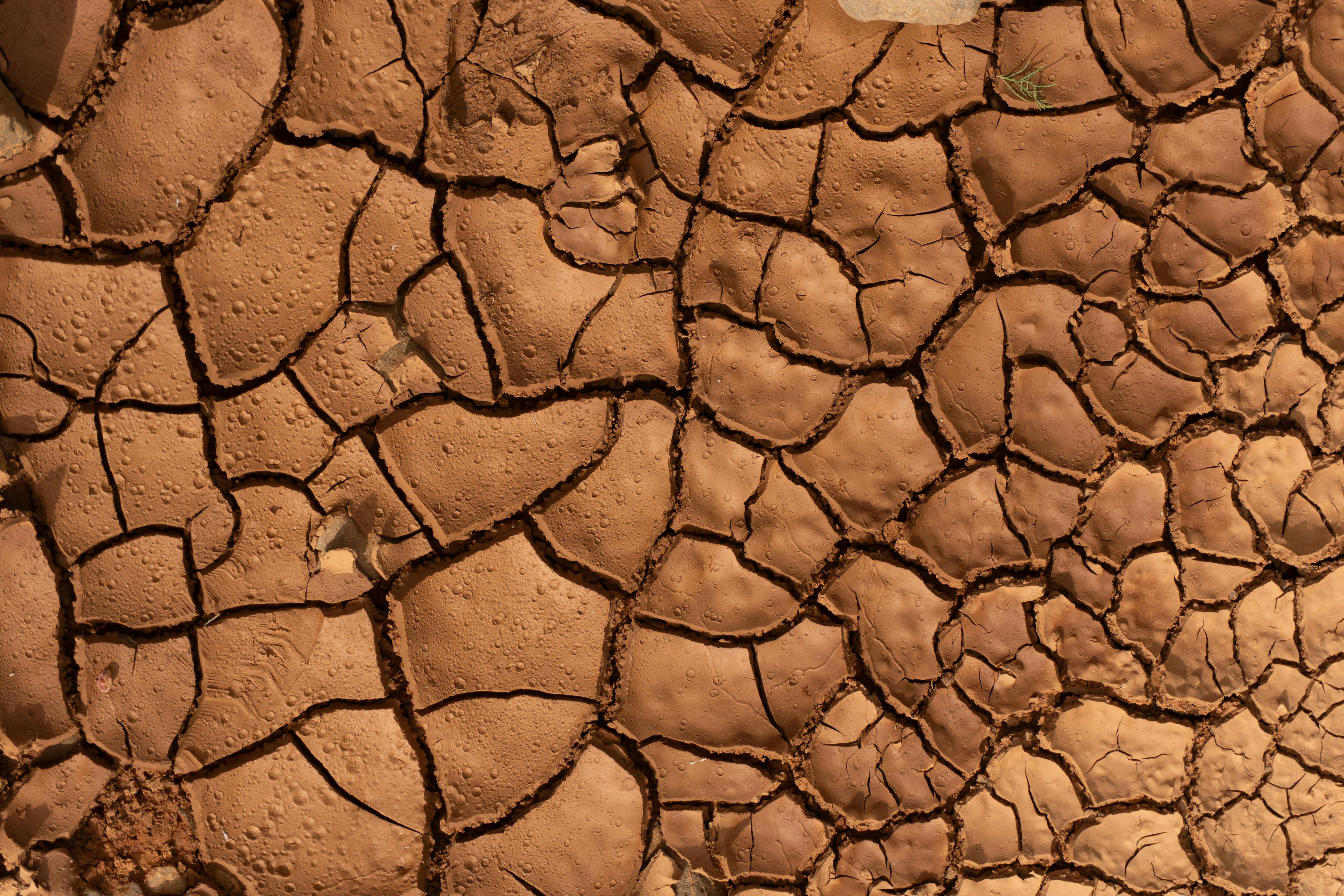 Free Close-up of dry, cracked earth with detailed texture and warm sunlight highlighting the patterns. Stock Photo