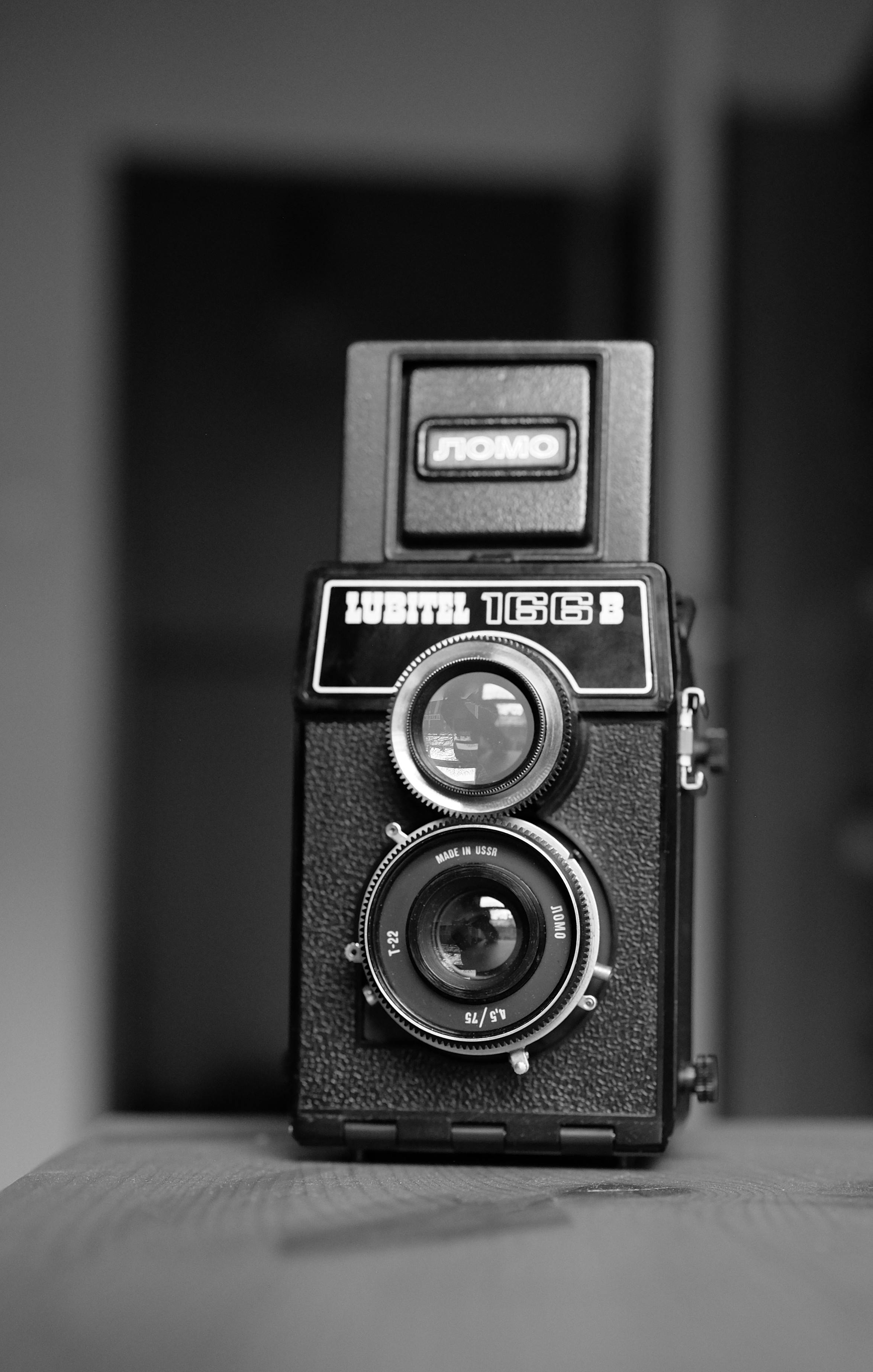 Gratis Primo piano in bianco e nero di una classica fotocamera reflex a doppio obiettivo Lubitel 166B. Foto a disposizione