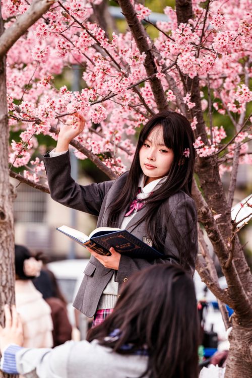Young Woman Reading Under Cherry Blossom Tree · Free Stock Photo