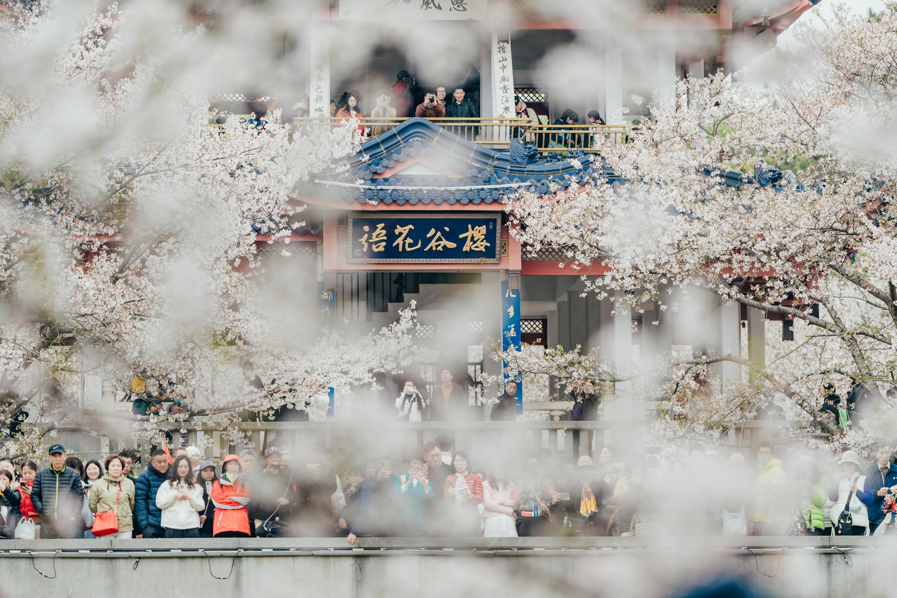 清明連假東區生活節！3大亮點引爆春日城市魅力