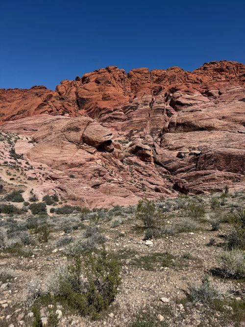 Free Stunning view of Red Rock Canyon's vivid geological formations under clear blue skies. Stock Photo