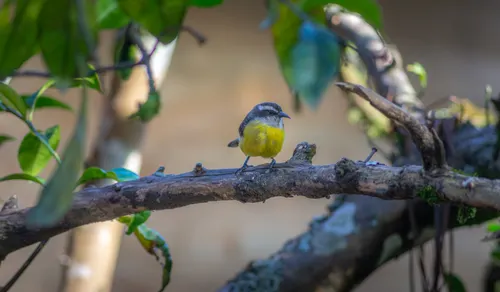 Parc national Tayrona