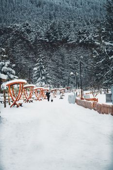 A serene snowy pathway with red arches and tall trees in a winter landscape.
