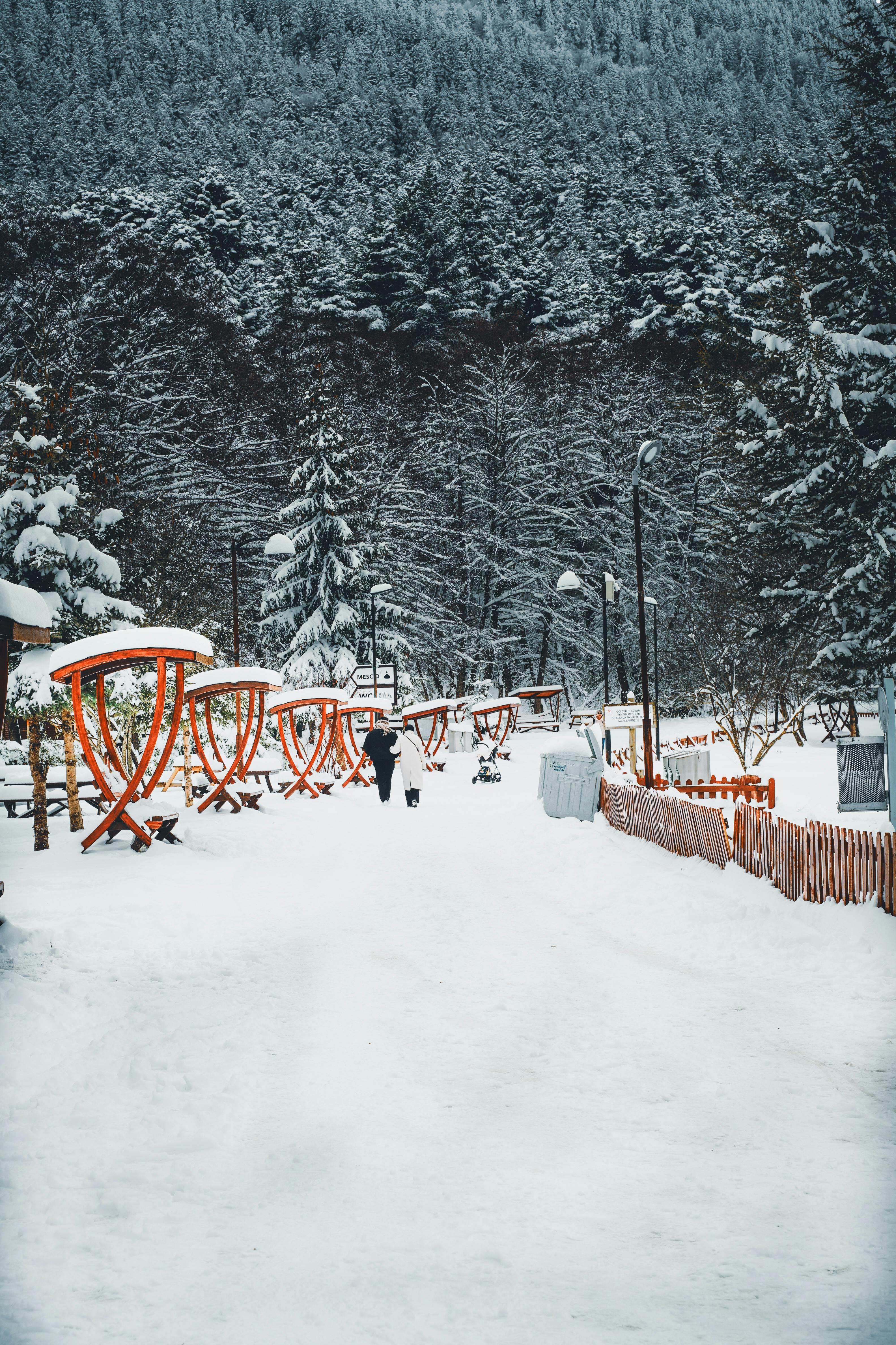 De franc Un camí nevat serè amb arcs vermells i arbres alts en un paisatge hivernal. Foto d'estoc