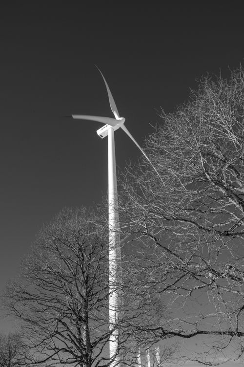 Free Monochrome image of a wind turbine amidst bare trees, highlighting renewable energy. Stock Photo