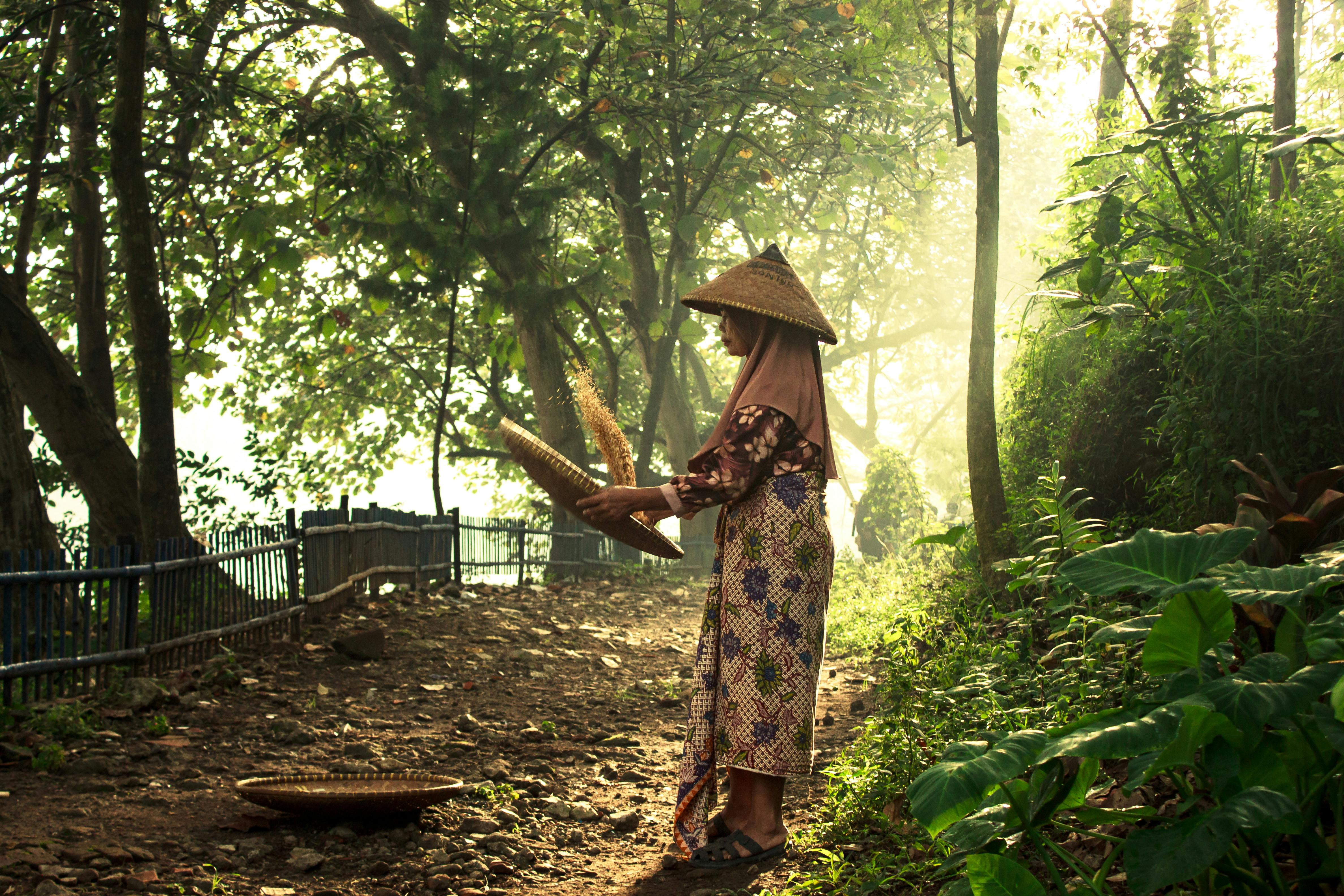 無料 日中、森の小道で、伝統的な衣装を身に着けた女性が竹かごを使って織物をしている。 写真素材