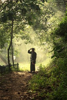 A person stands on a forest path, basking in the sunlight filtering through the trees.