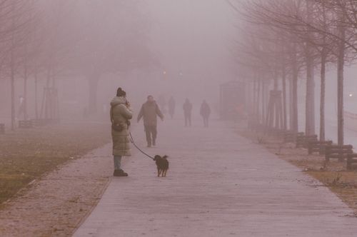 Free A foggy pathway in a city park with people walking and a woman with a dog. Stock Photo