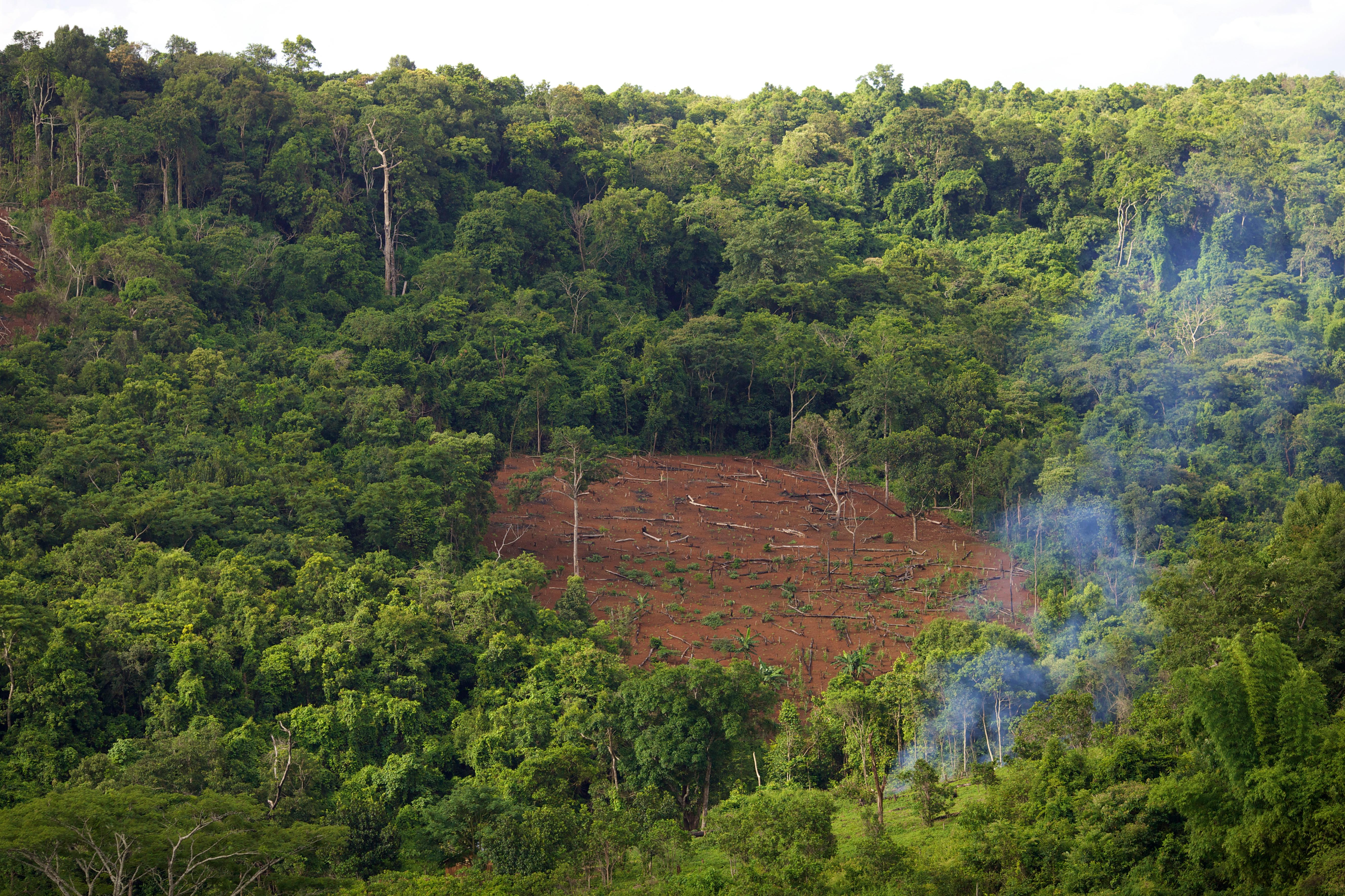 Deforestation in Mondulkiri Province, Cambodia