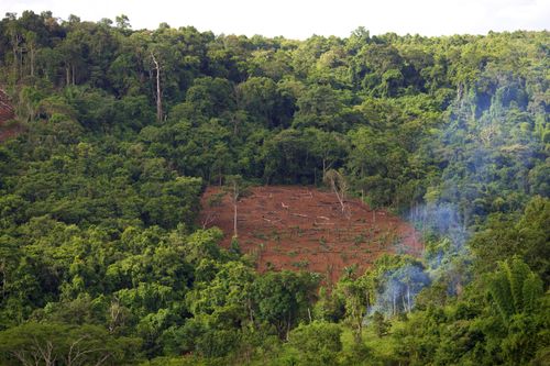 Free An aerial view of deforestation in the dense jungle of Mondulkiri, Cambodia. Stock Photo