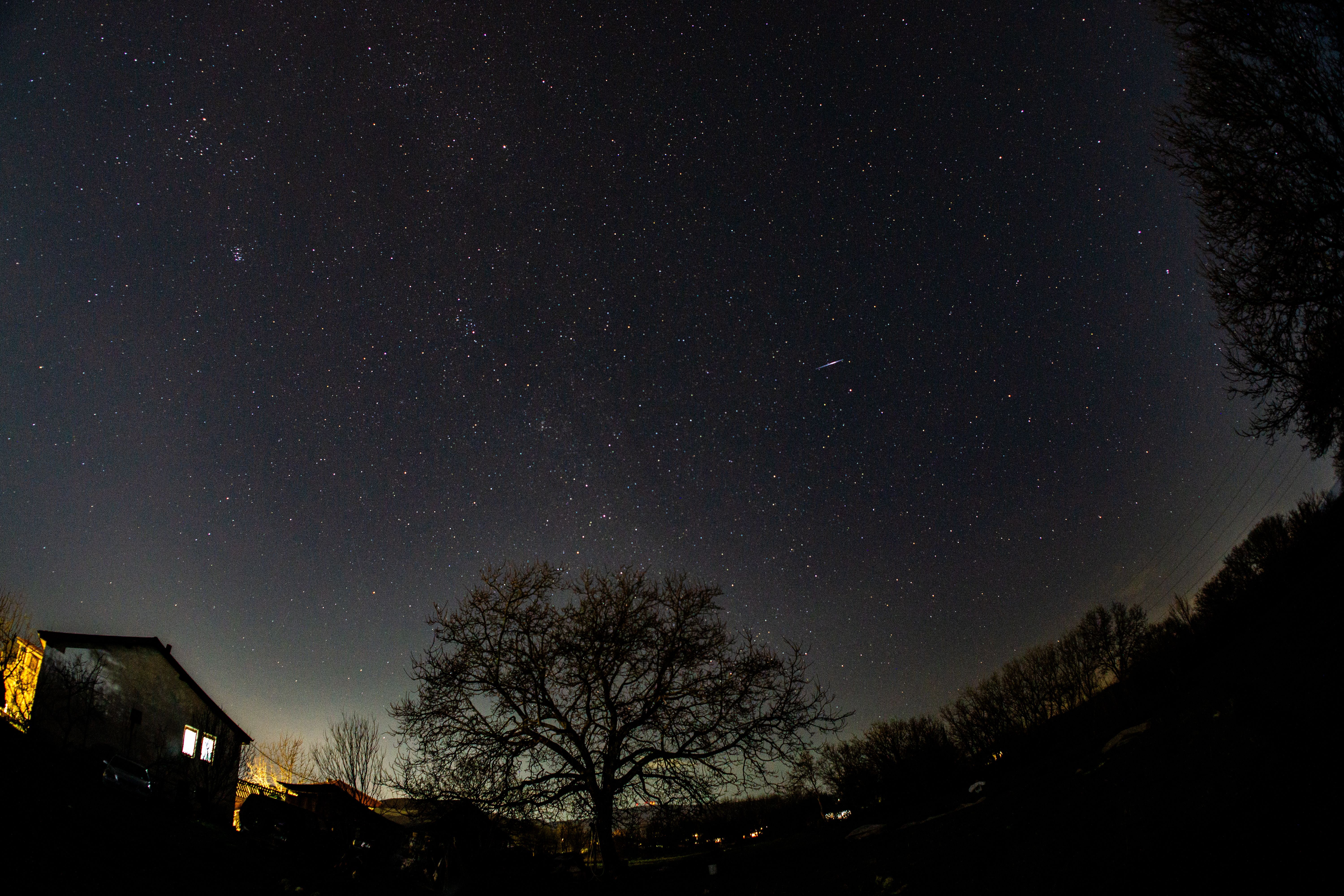 Understanding Falling Object Coverage