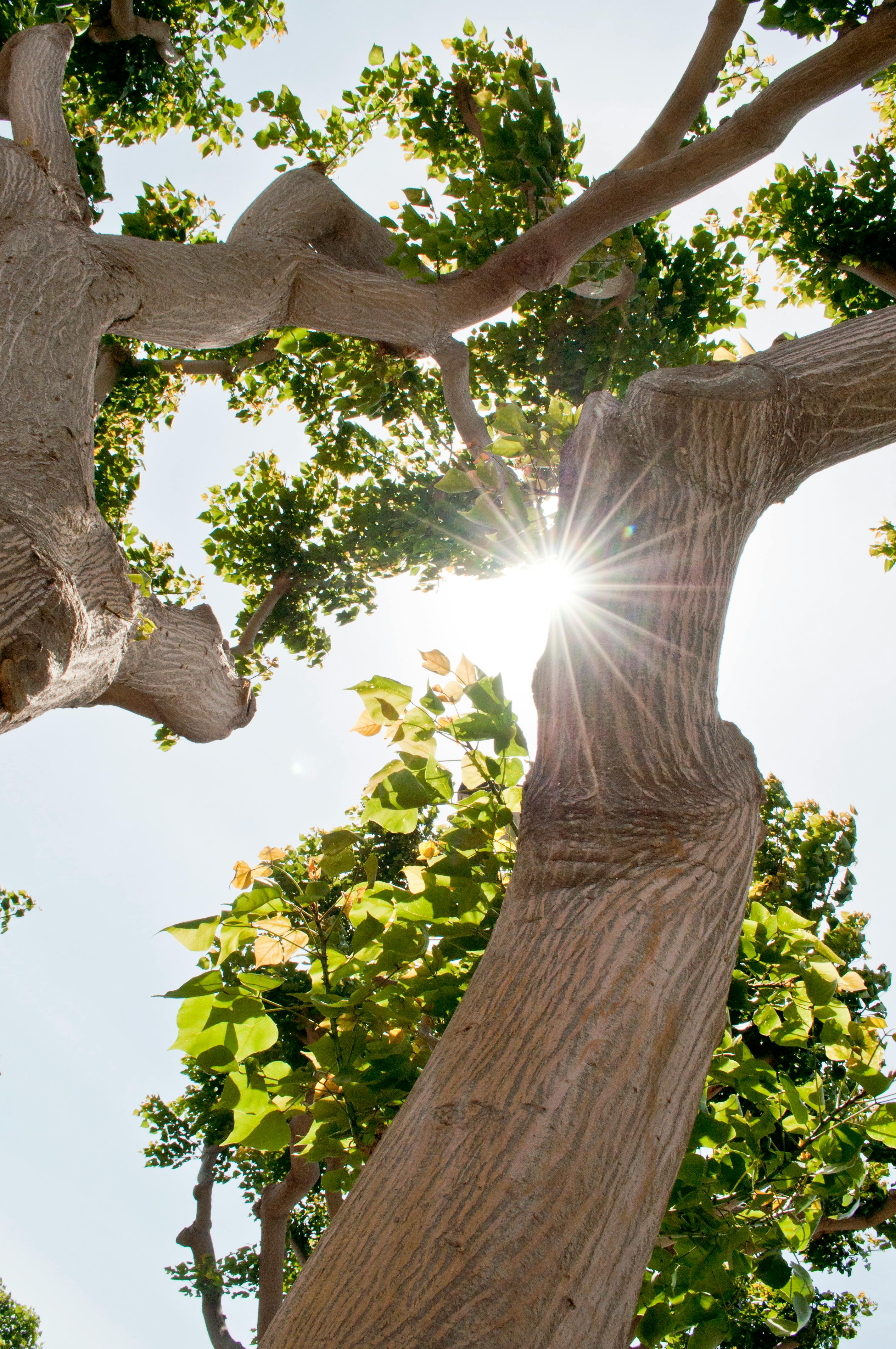 Free stock photo of bolt, nut, nuts and bolts