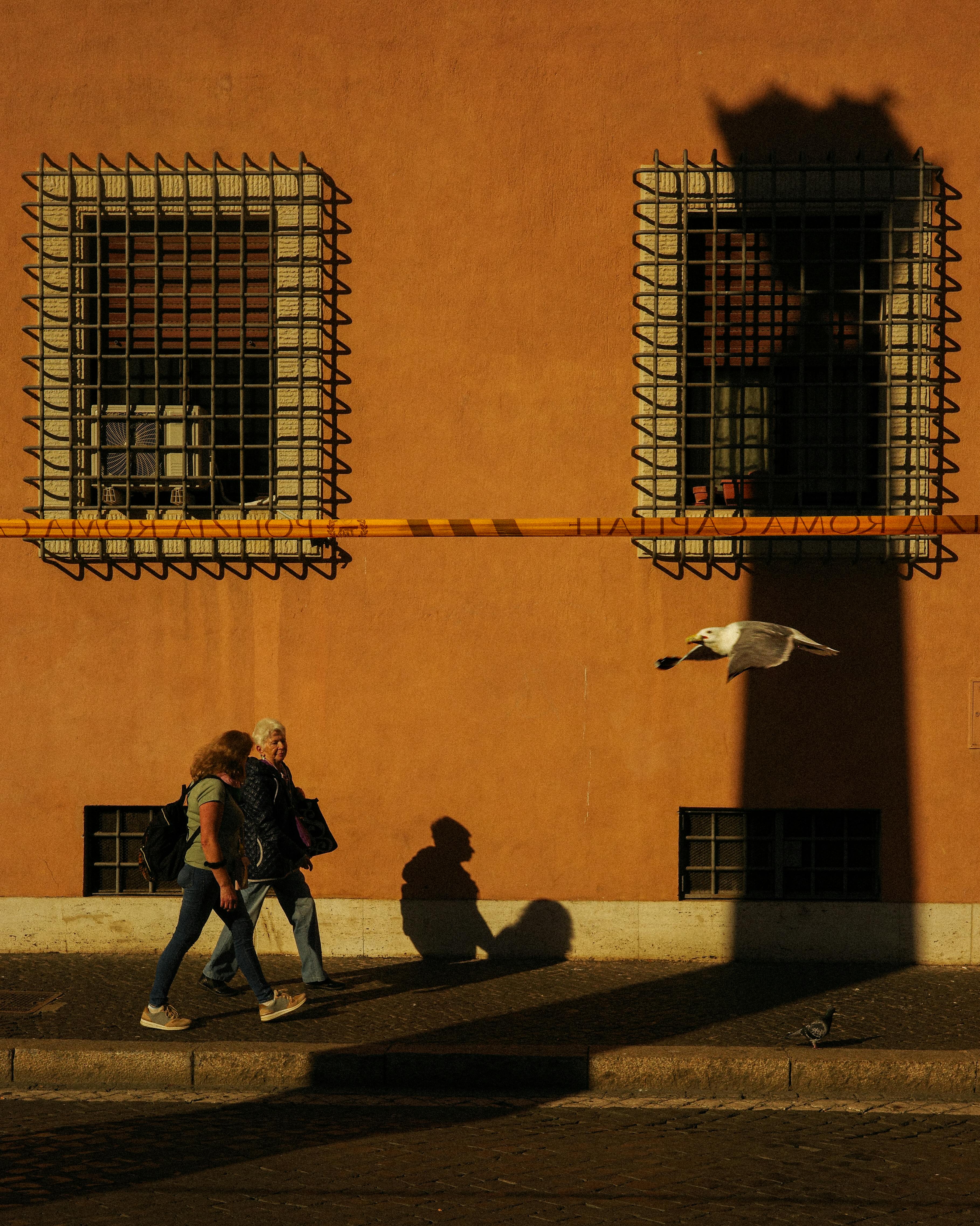 Free stock photo of ricoh, street photography Stock Photo