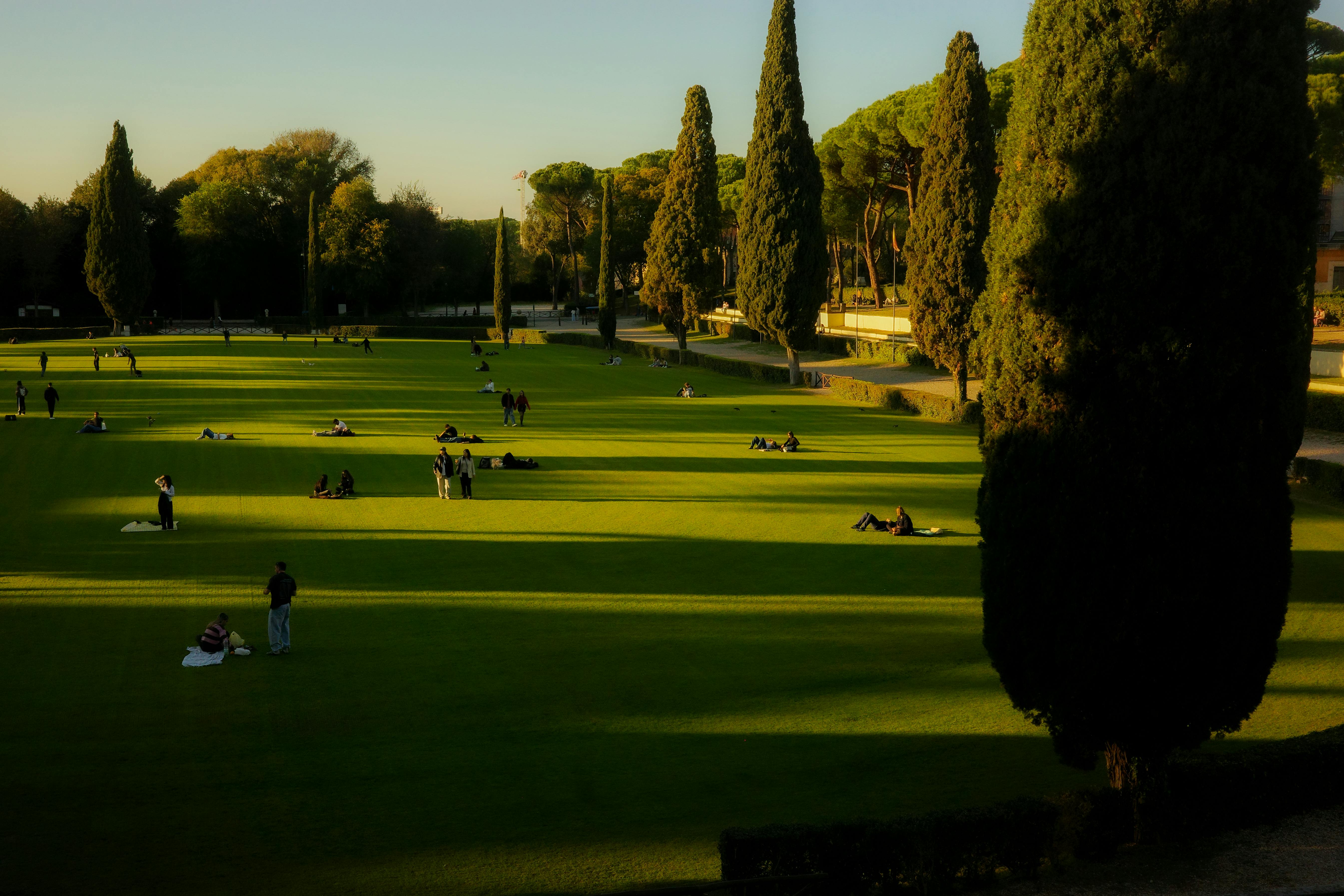 Gratis Immagine gratuita di adobe lightroom, alberi, architettura Foto a disposizione