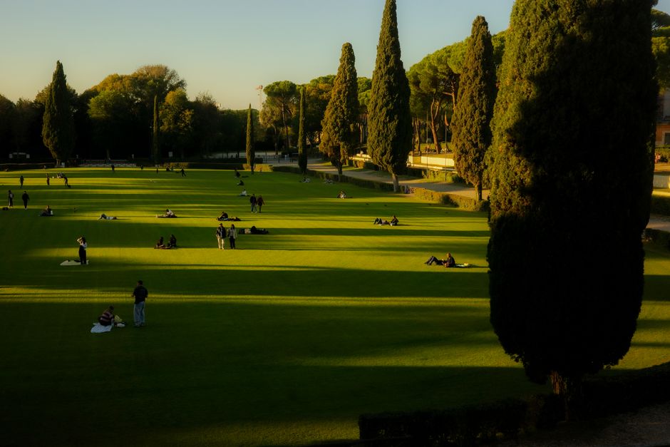 People relaxing in a Lazio park during a tranquil evening, surrounded by green trees and cypress.