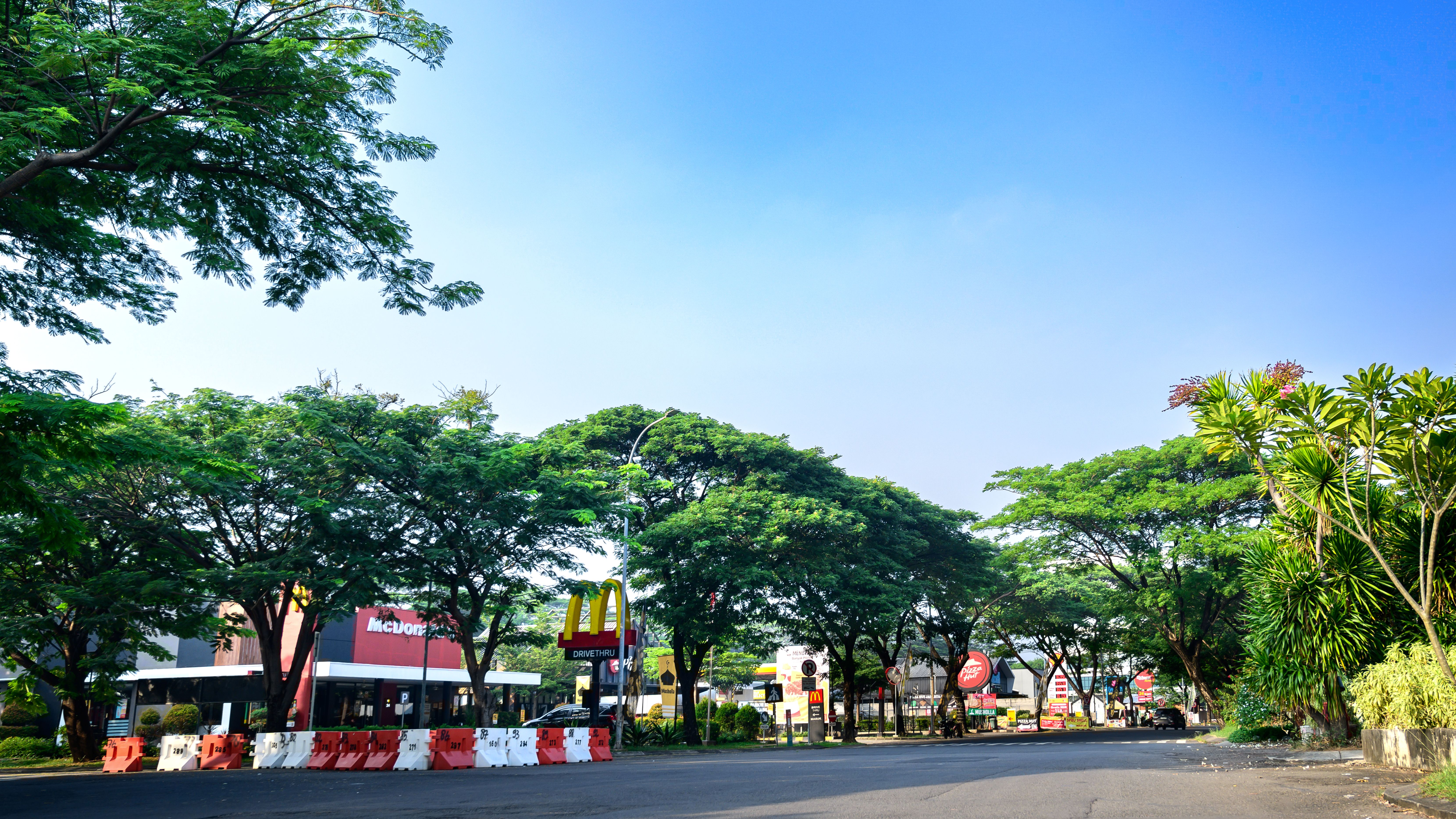 Lush Greenery Surrounding Urban Fast Food Outlet