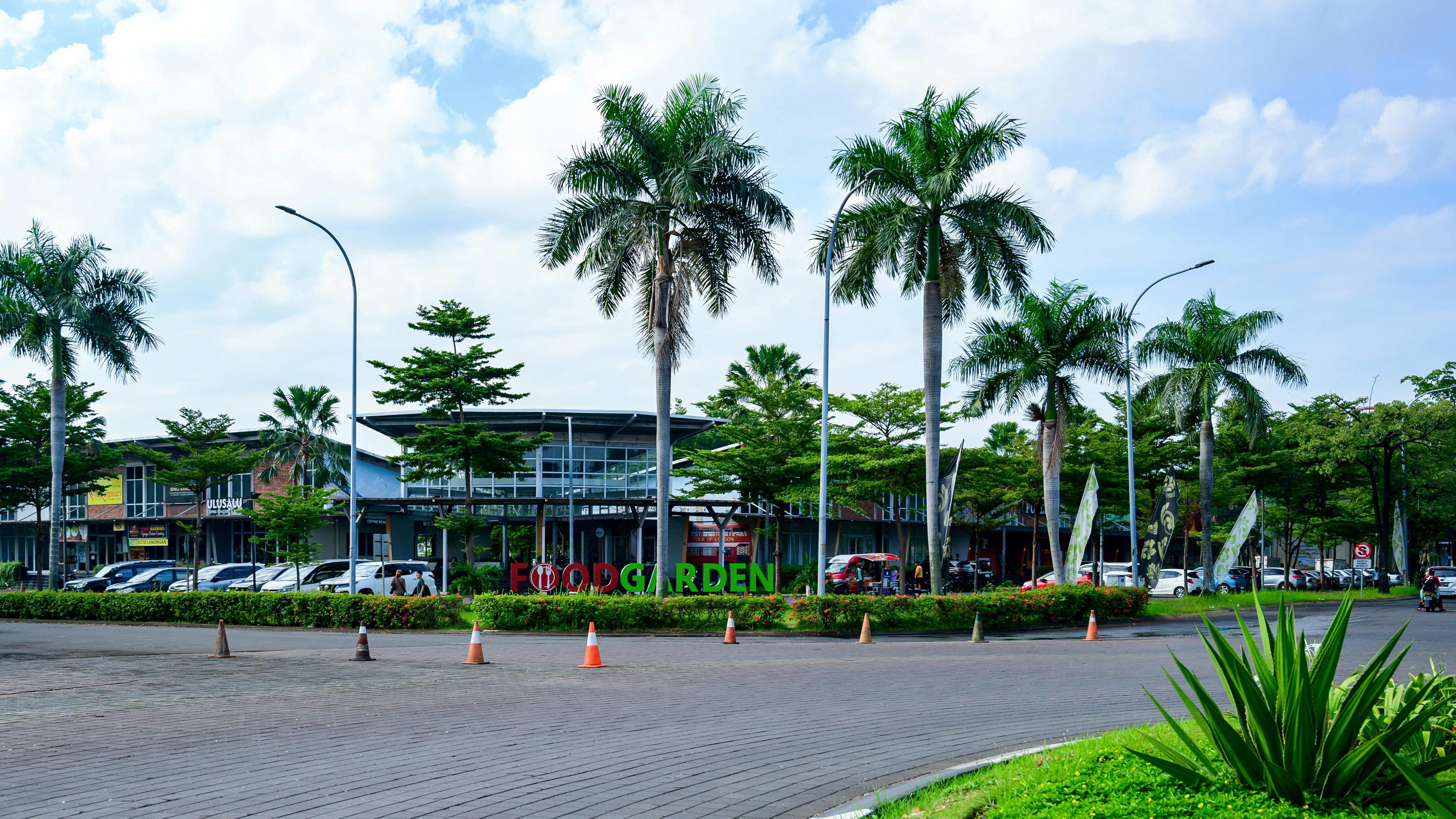 Gratis Veduta stradale di un giardino botanico con palme e architettura moderna sotto un cielo luminoso. Foto a disposizione