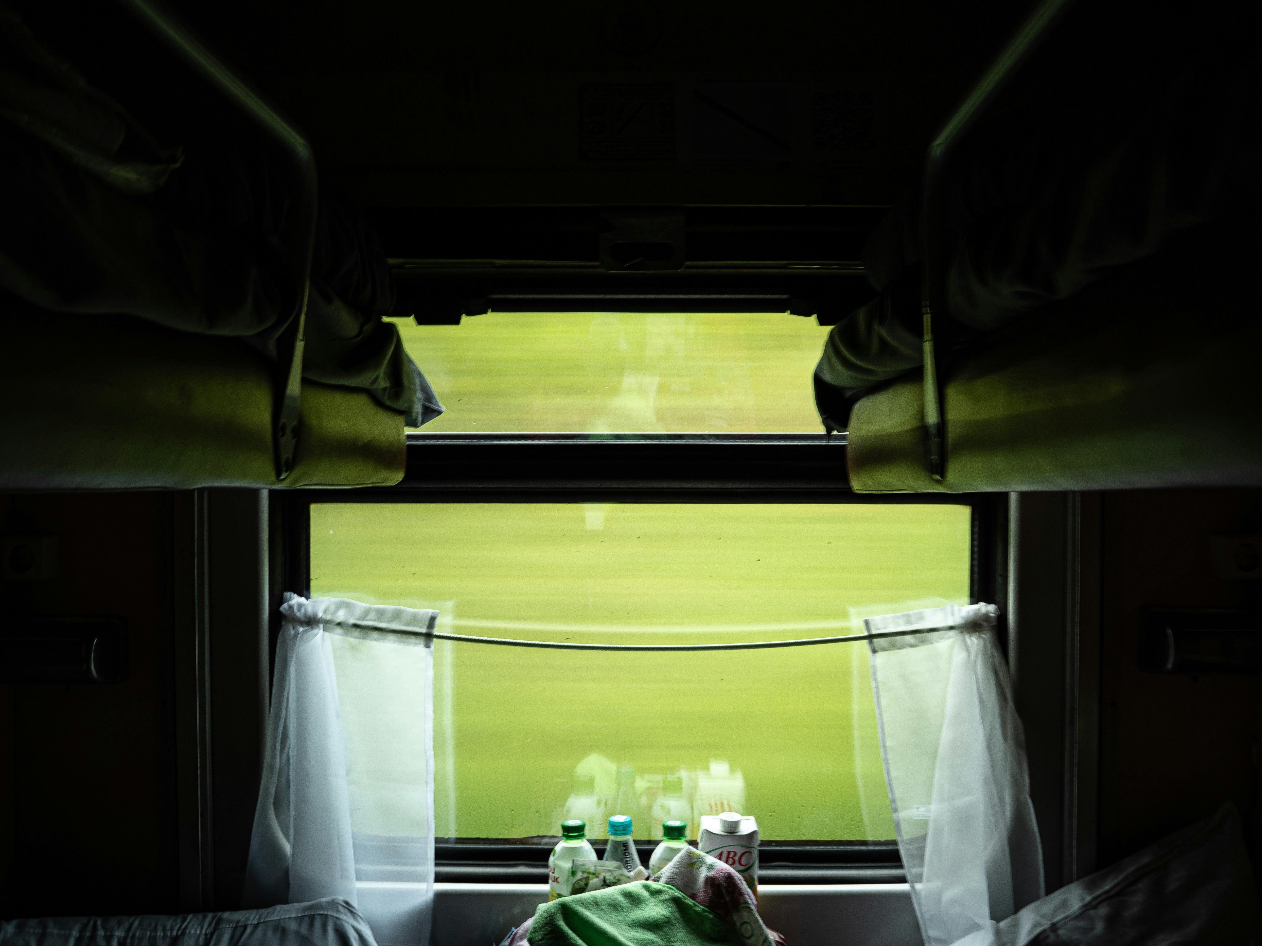 Gratis Vista Accogliente Dal Compartimento Del Treno Con Vegetazione Foto a disposizione