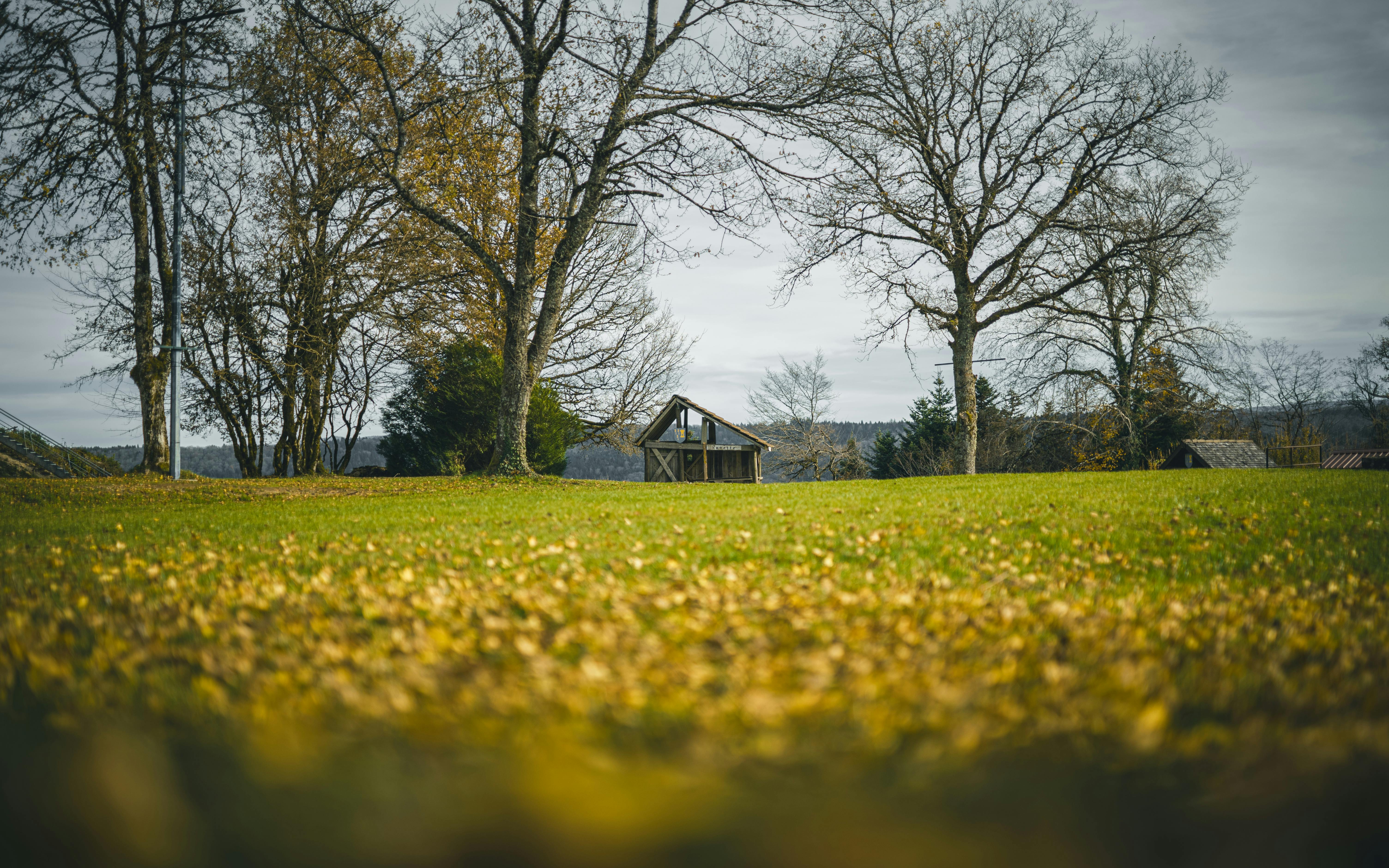 Ücretsiz Sonbahar ağaçları ve çimenli bir alanın ortasında, bulutlu bir gökyüzünün altında, rustik bir kulübe. Stok Fotoğraflar