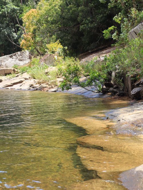 Free Serene riverside view with clear water, lush greenery, and rocky shoreline. Perfect for nature and travel themes. Stock Photo
