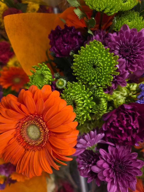Free Colorful bouquet with lush chrysanthemums and gerbera flowers in vivid tones. Stock Photo