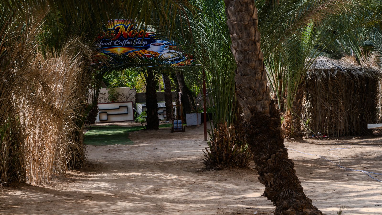 Sunny oasis cafe in desert palm grove, Djibouti