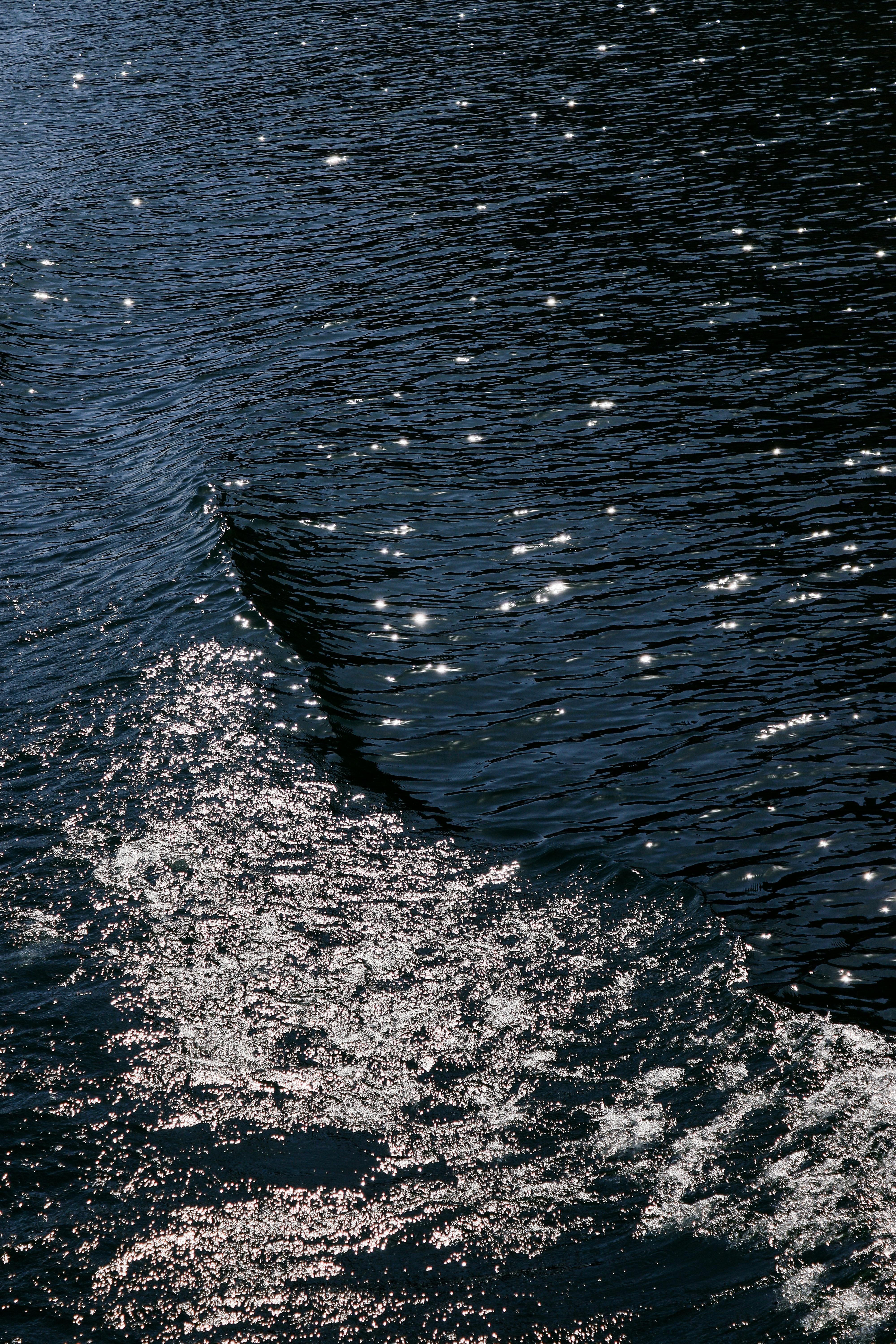 Gratis La luce del sole si riflette sull'acqua scura e increspata, creando un effetto scintillante e sereno. Foto a disposizione