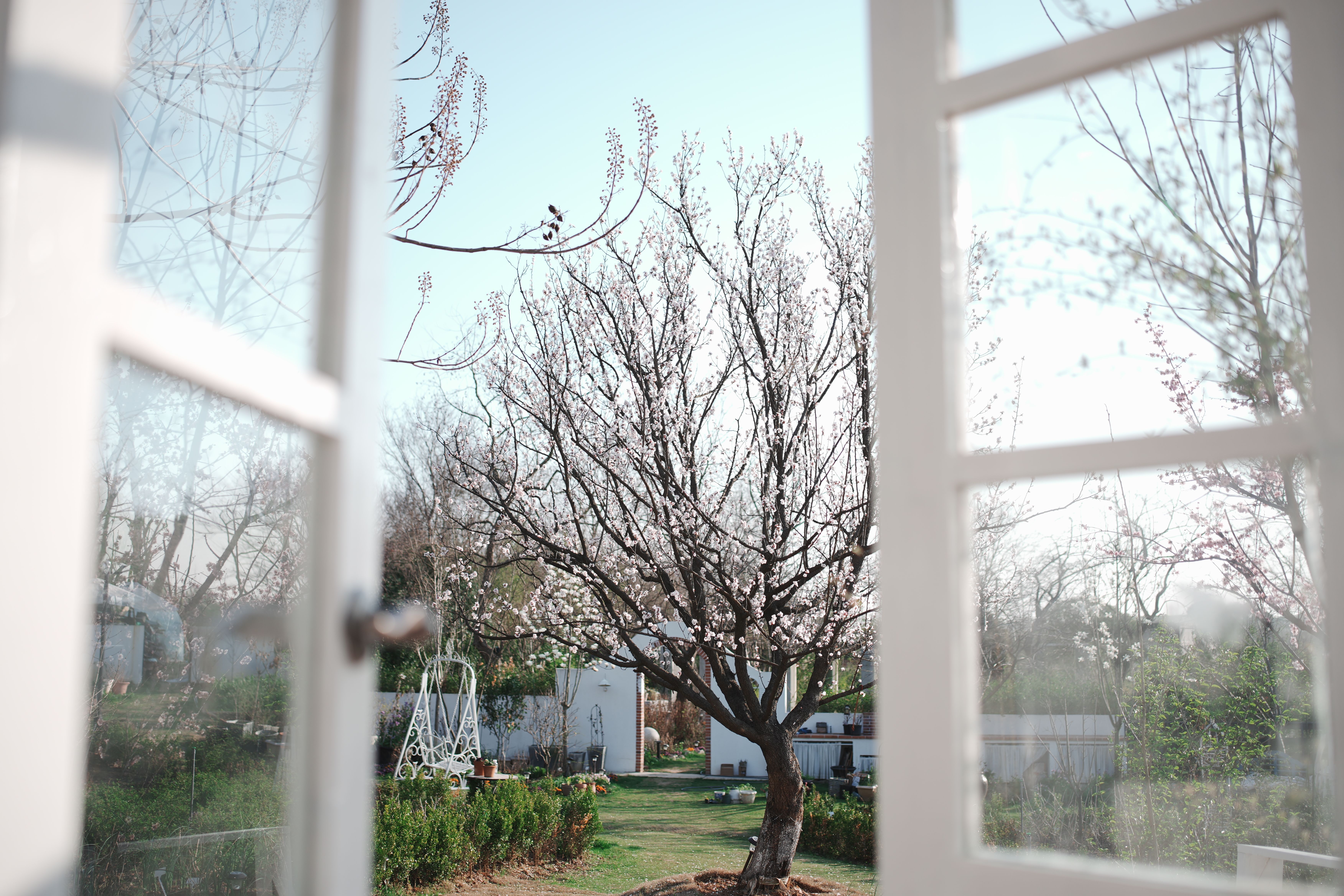 End of Tenancy Decorating in Stanmore — a freshly painted, spotless finish