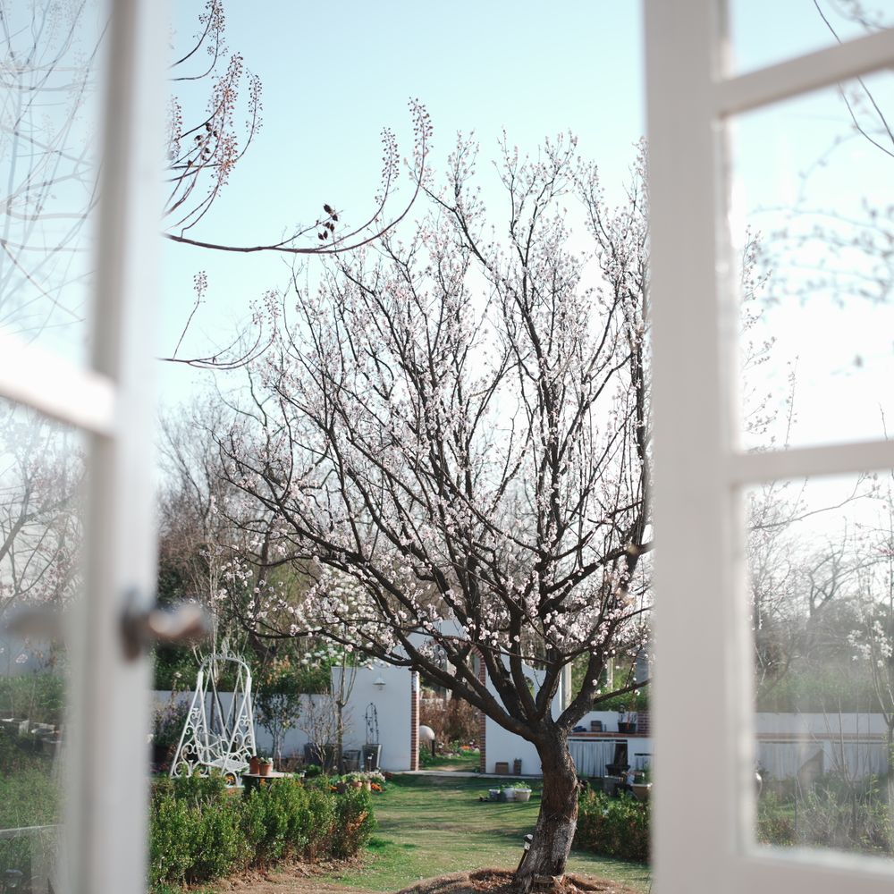 End of Tenancy Decorating in Stanmore — a freshly painted, spotless finish