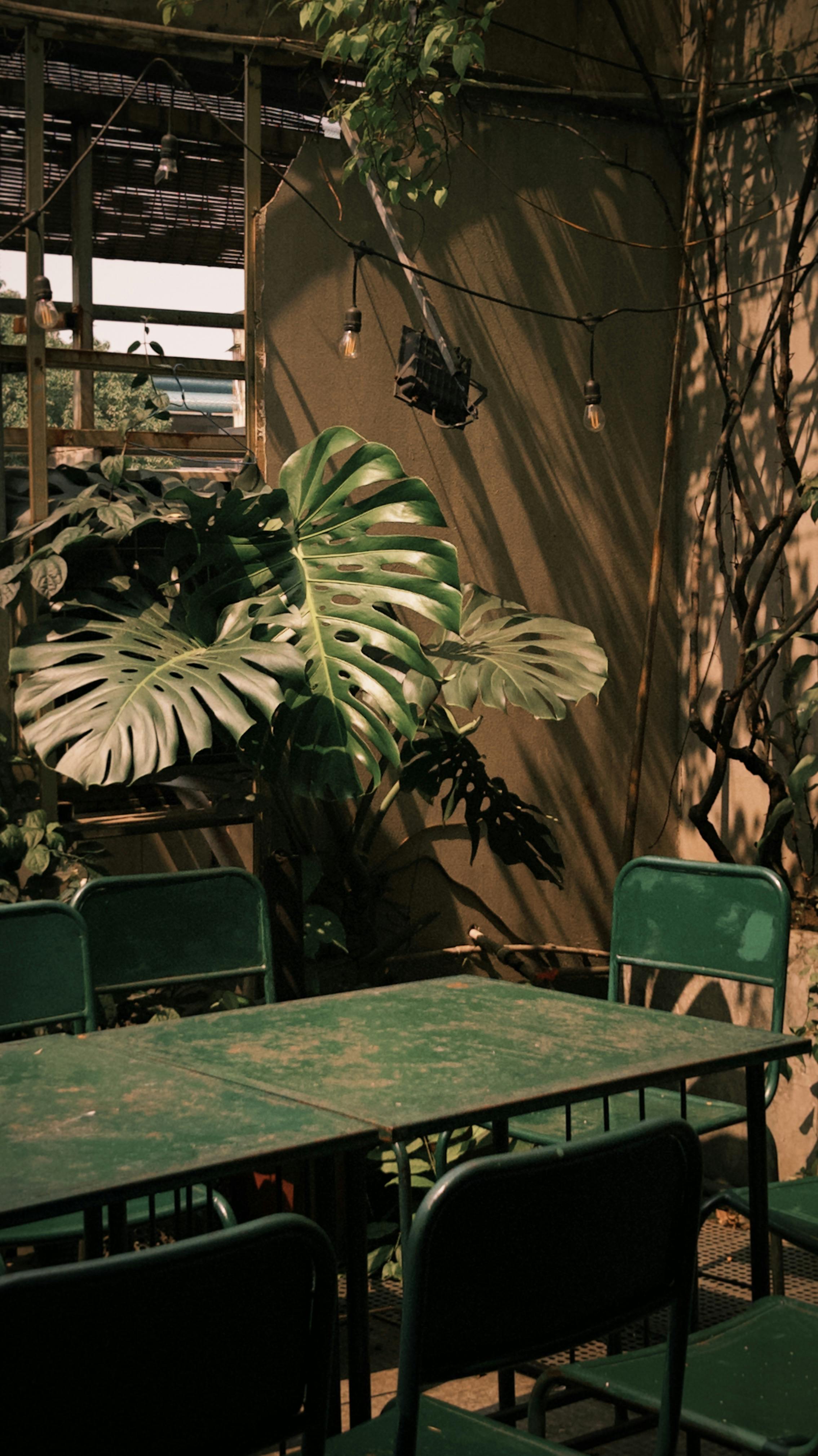 Ücretsiz @dış mekan, açık havada, ahşap içeren Ücretsiz stok fotoğraf Stok Fotoğraflar