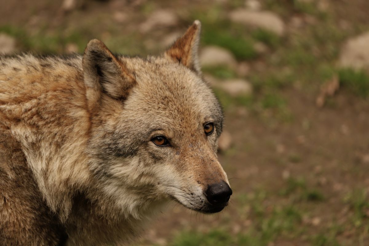 packing service in Allendale Town — Packing Service in Allendale Town — the working end of the job