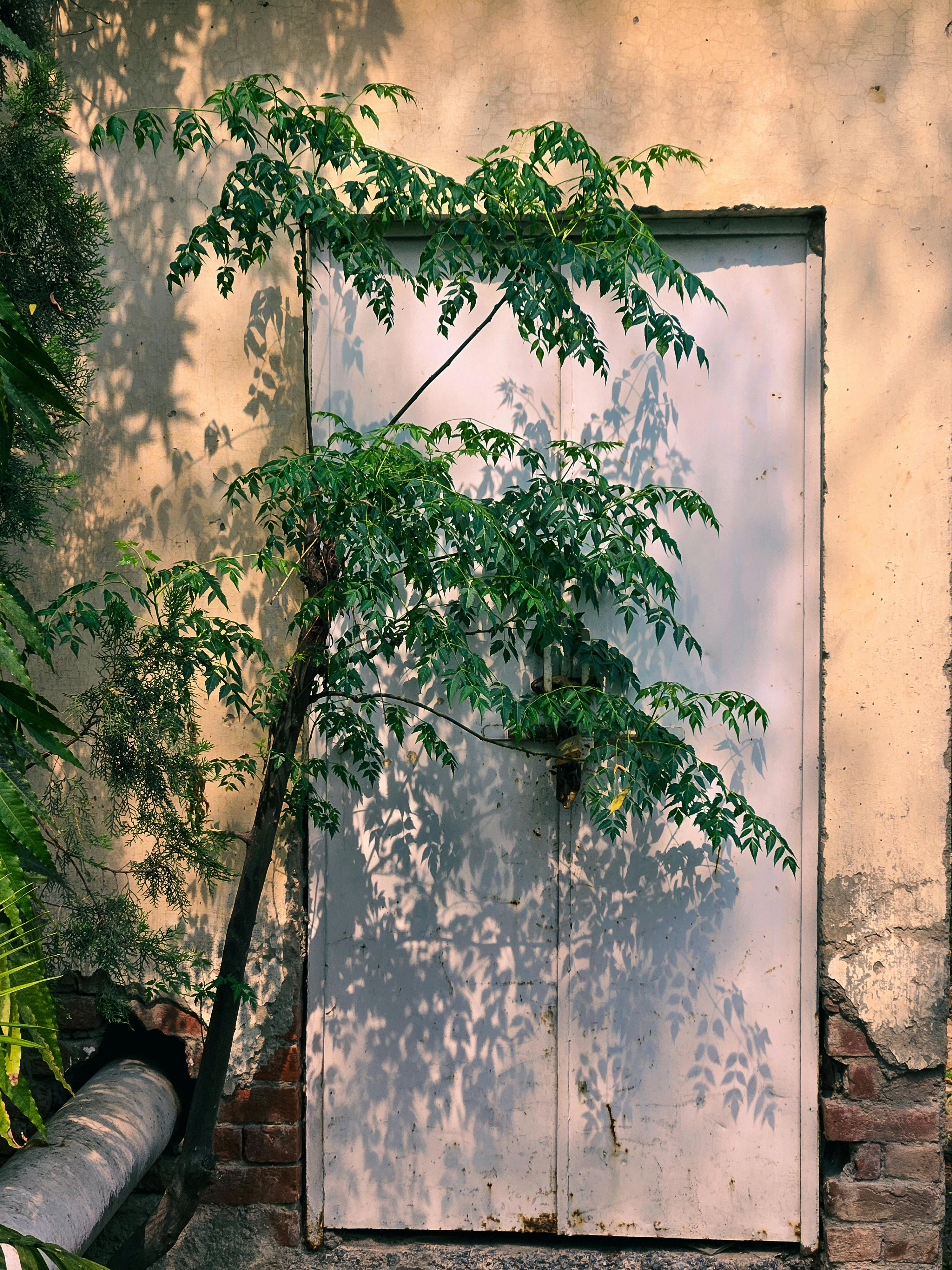 Gratis Immagine gratuita di architettura, architettura all aperto, arte ambientale Foto a disposizione