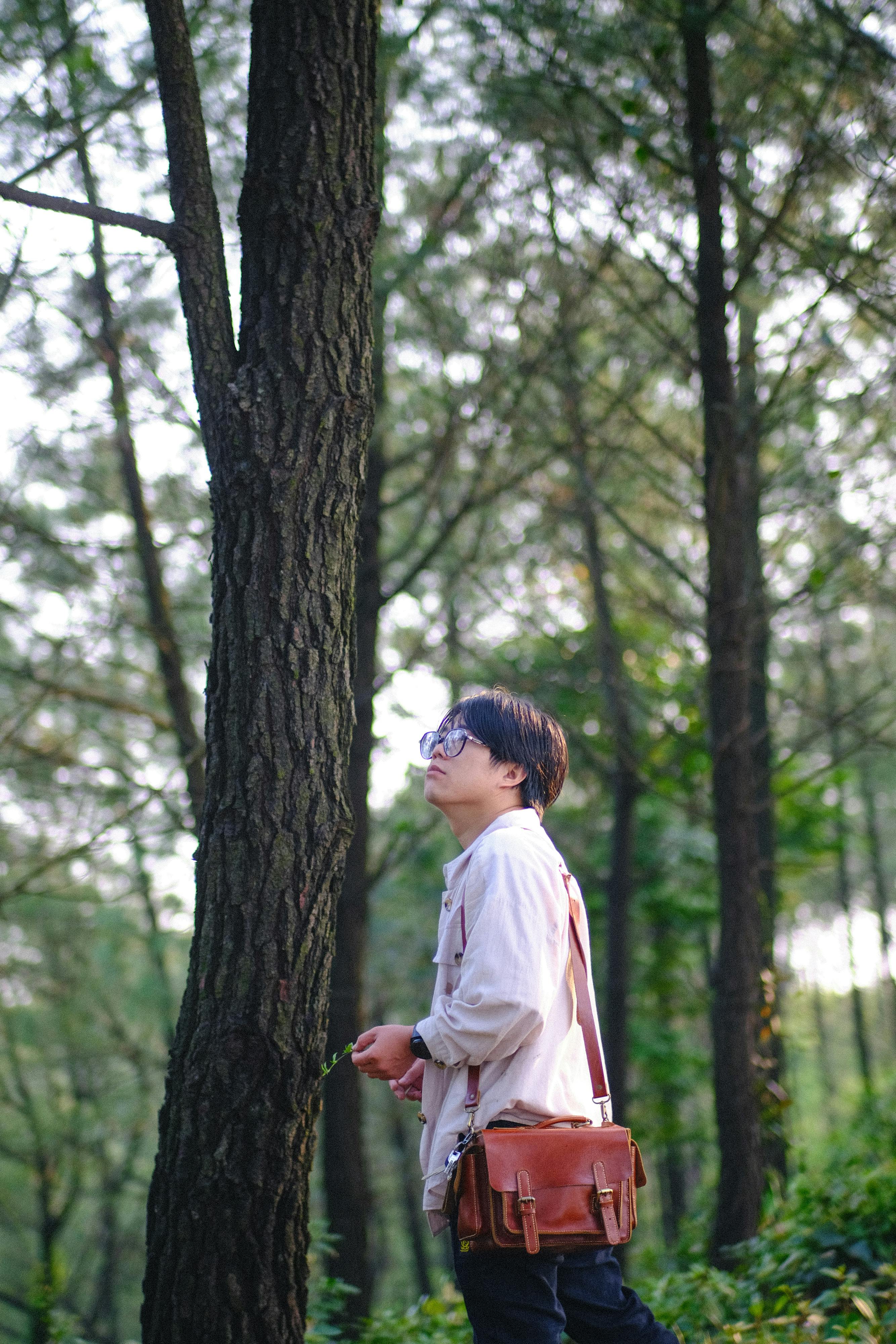 Ücretsiz açık hava, ağaç, Asya içeren Ücretsiz stok fotoğraf Stok Fotoğraflar