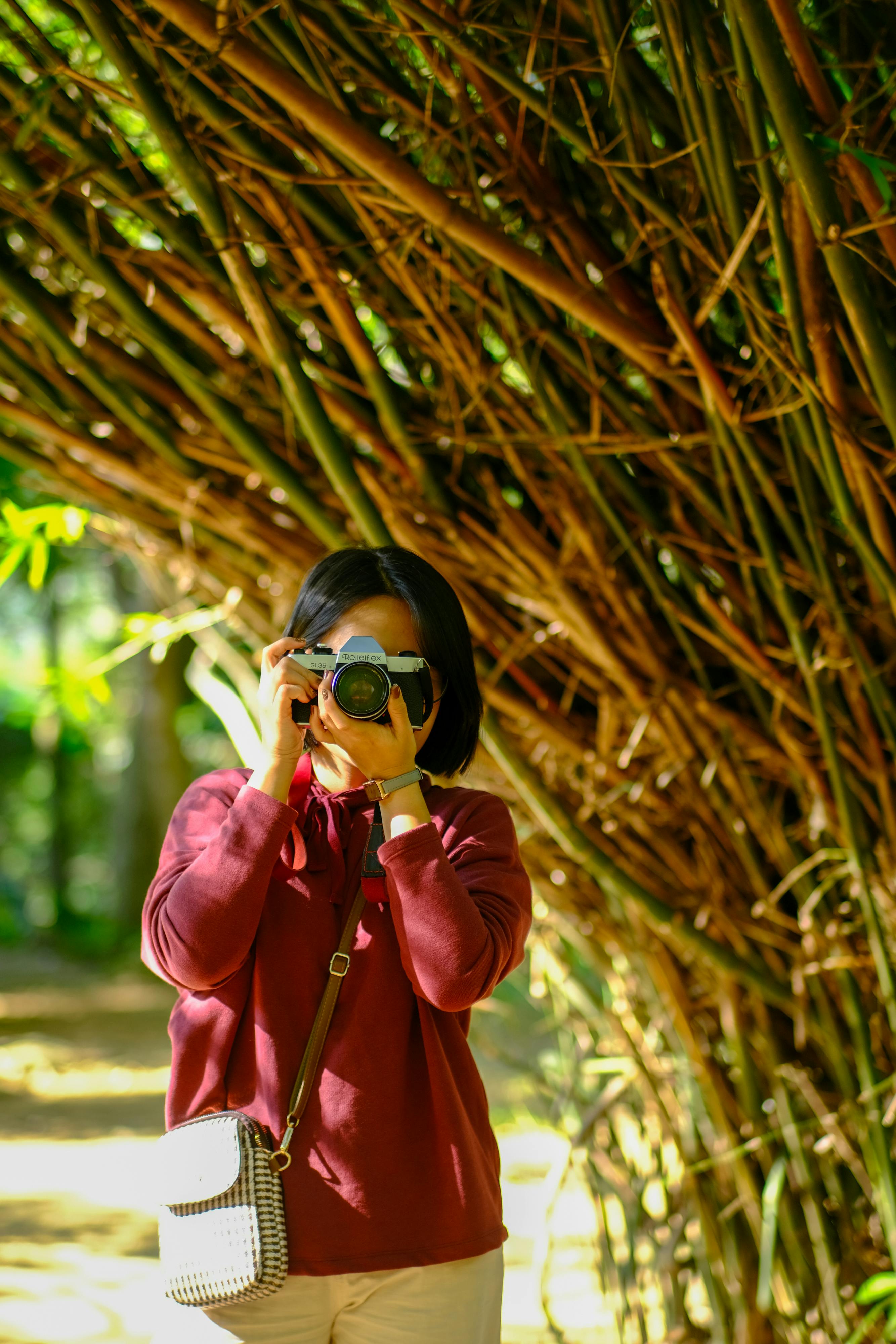 Gratis Immagine gratuita di albero, ambiente, asia Foto a disposizione